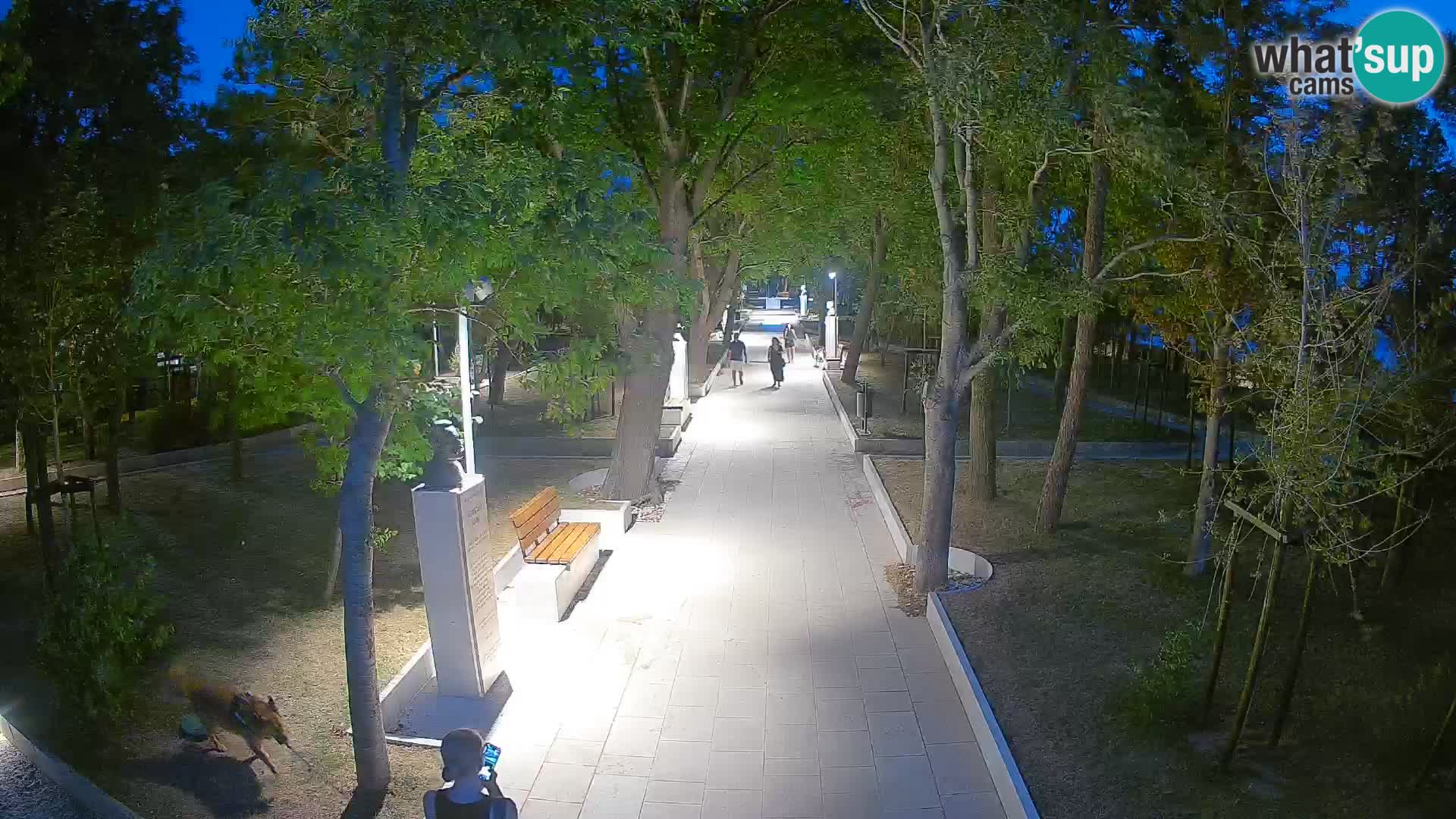 Webcam Parco degli Scrittori Segna – Diretta sul Mare