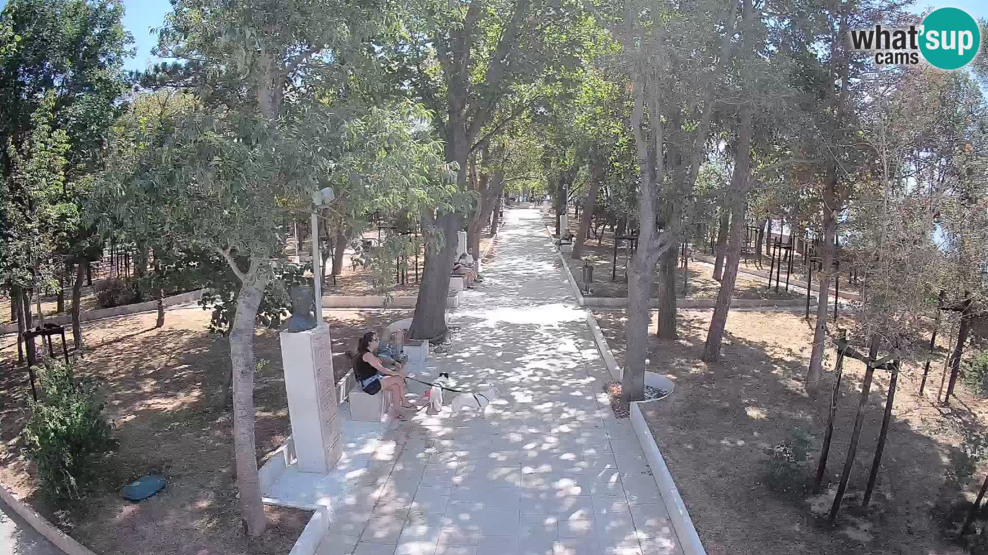 Webcam Parco degli Scrittori Segna – Diretta sul Mare