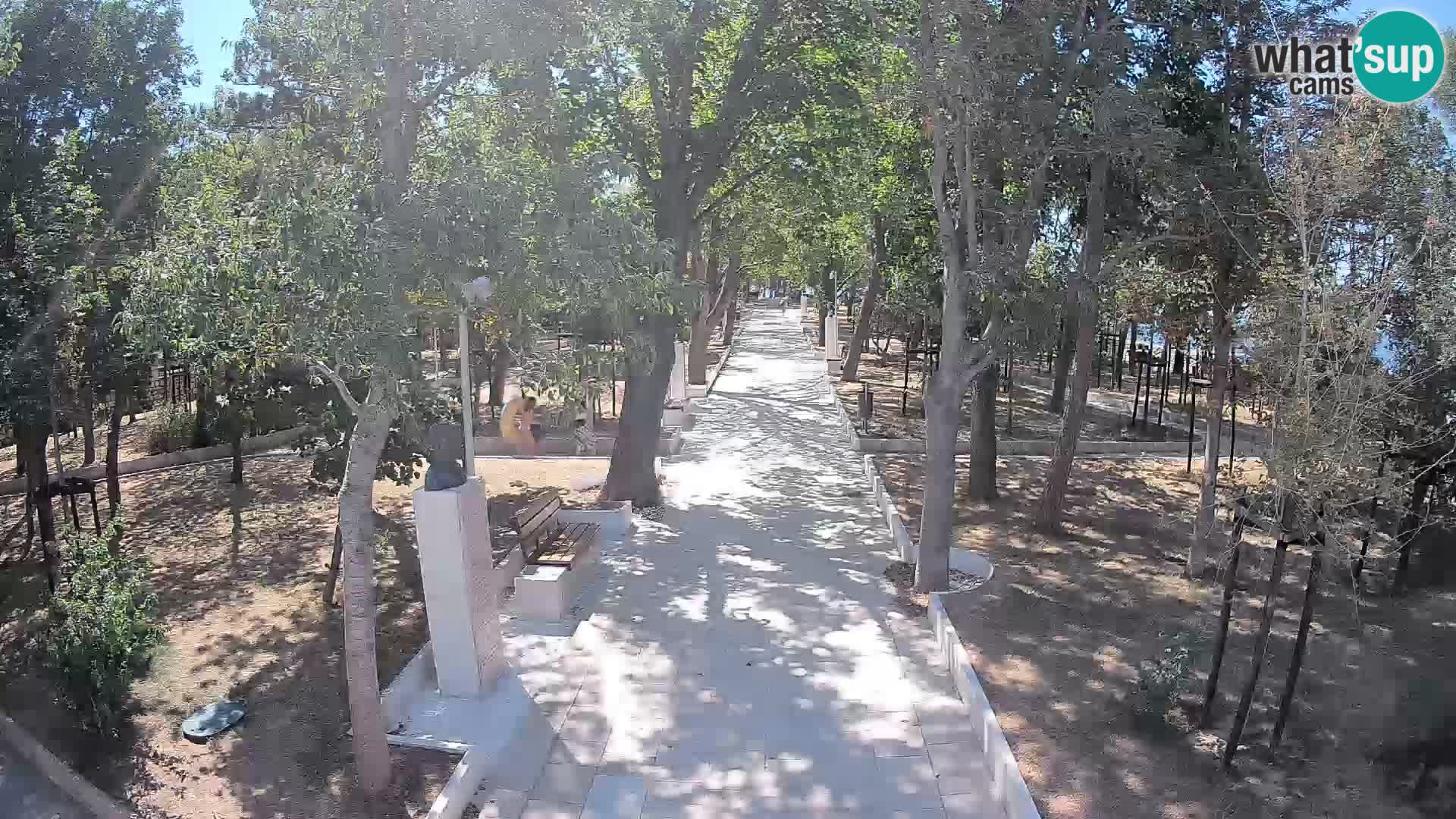 Webcam Parco degli Scrittori Segna – Diretta sul Mare