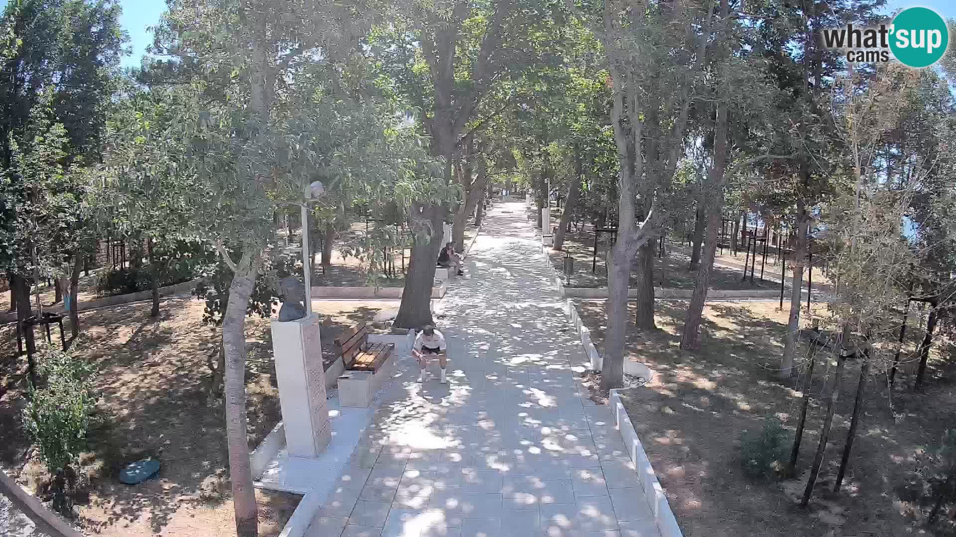 Webcam Parco degli Scrittori Segna – Diretta sul Mare