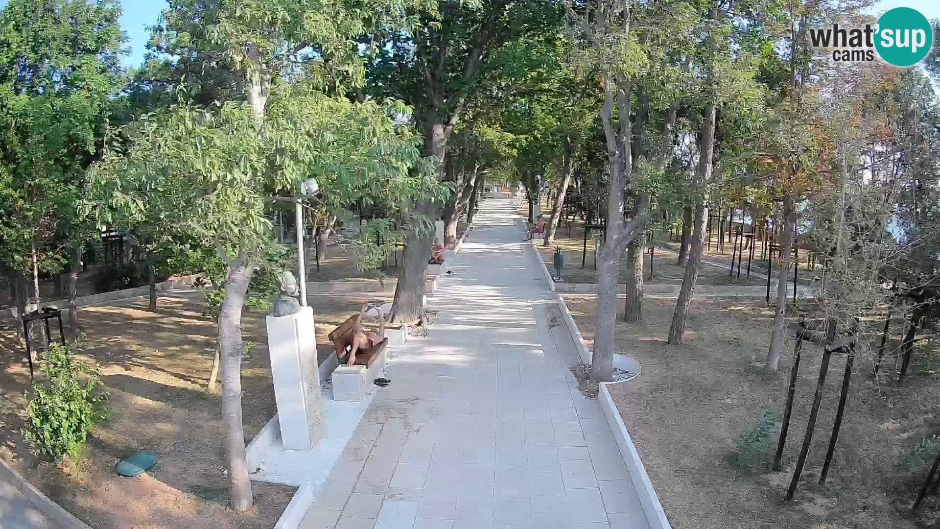Webcam Parco degli Scrittori Segna – Diretta sul Mare
