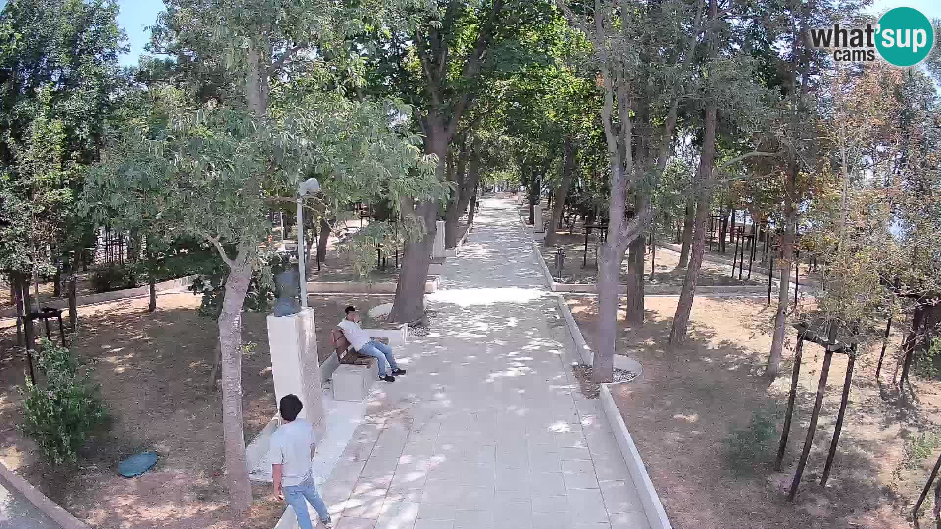 Webcam Parco degli Scrittori Segna – Diretta sul Mare