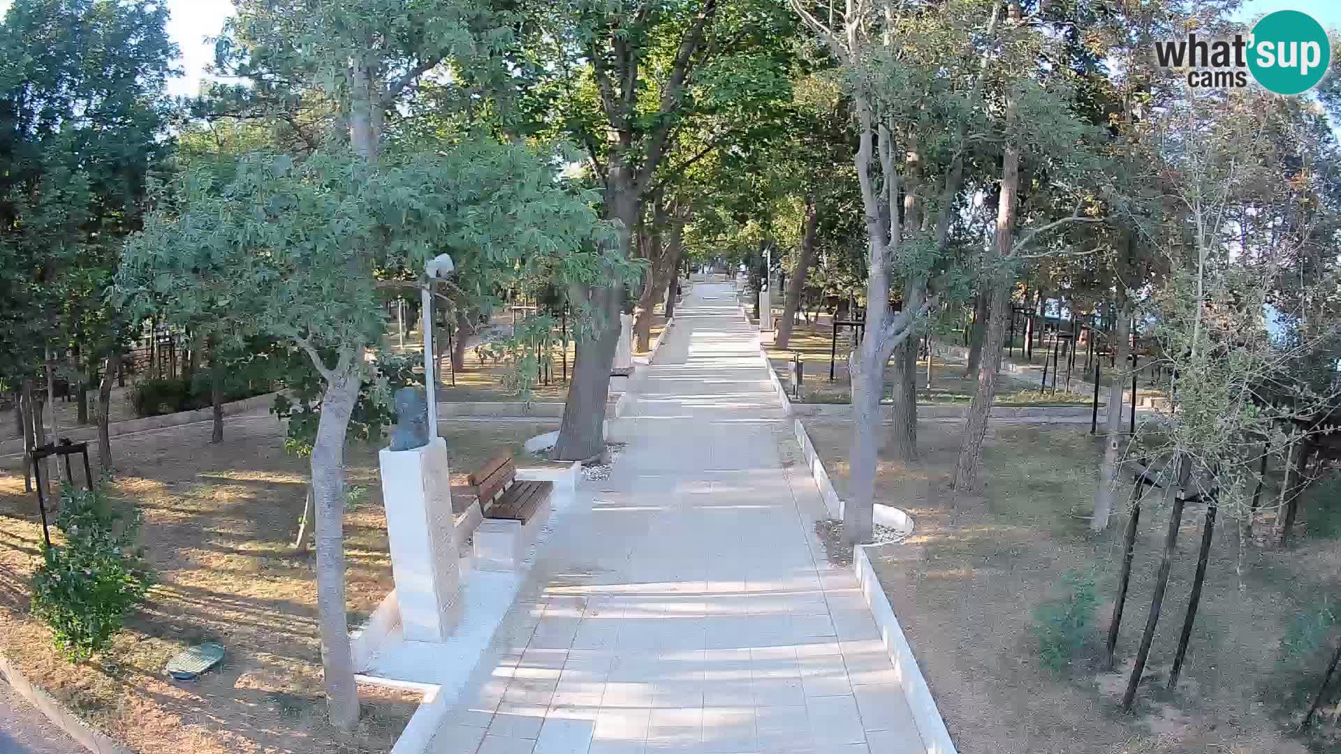 Webcam Parco degli Scrittori Segna – Diretta sul Mare