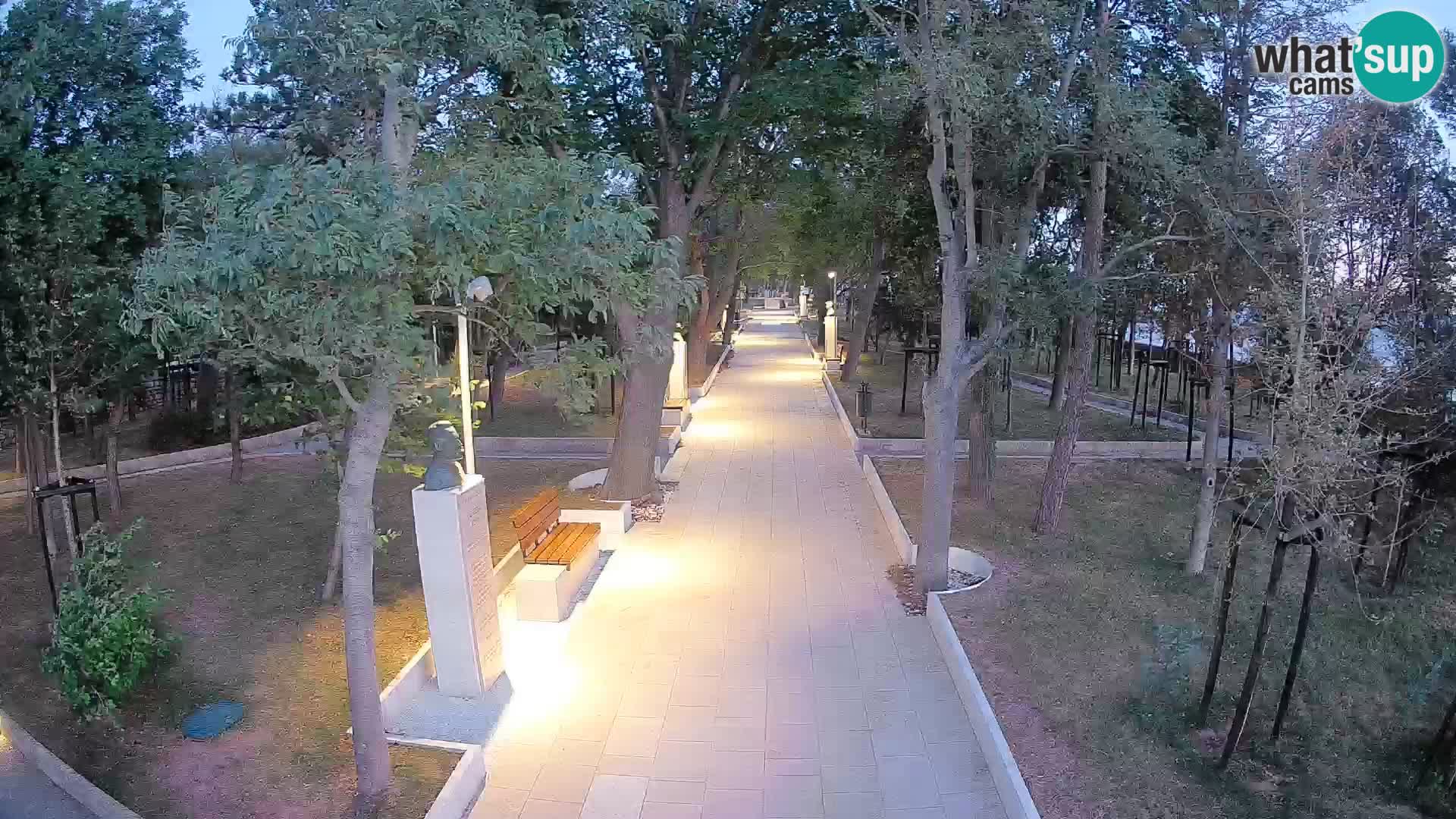 Webcam Parco degli Scrittori Segna – Diretta sul Mare