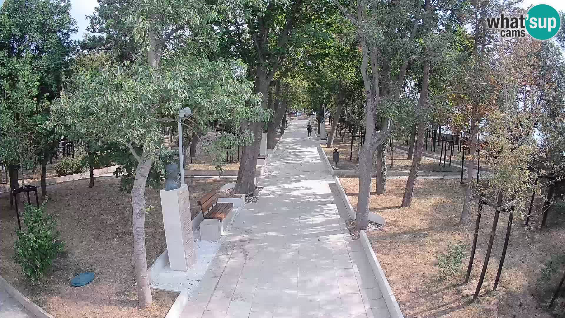 Webcam Parco degli Scrittori Segna – Diretta sul Mare