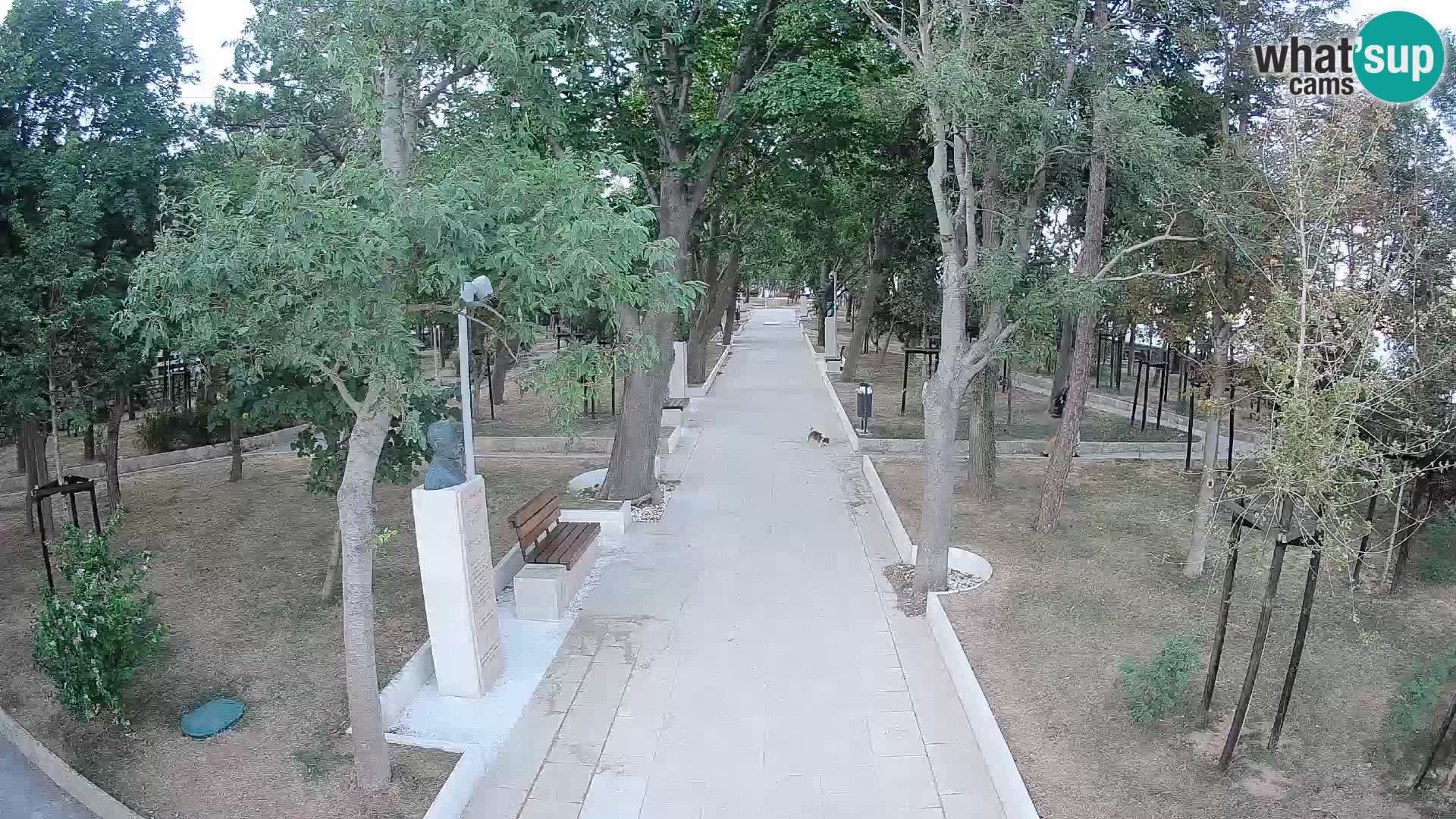 Webcam Schriftstellerpark Senj – Live am Meer