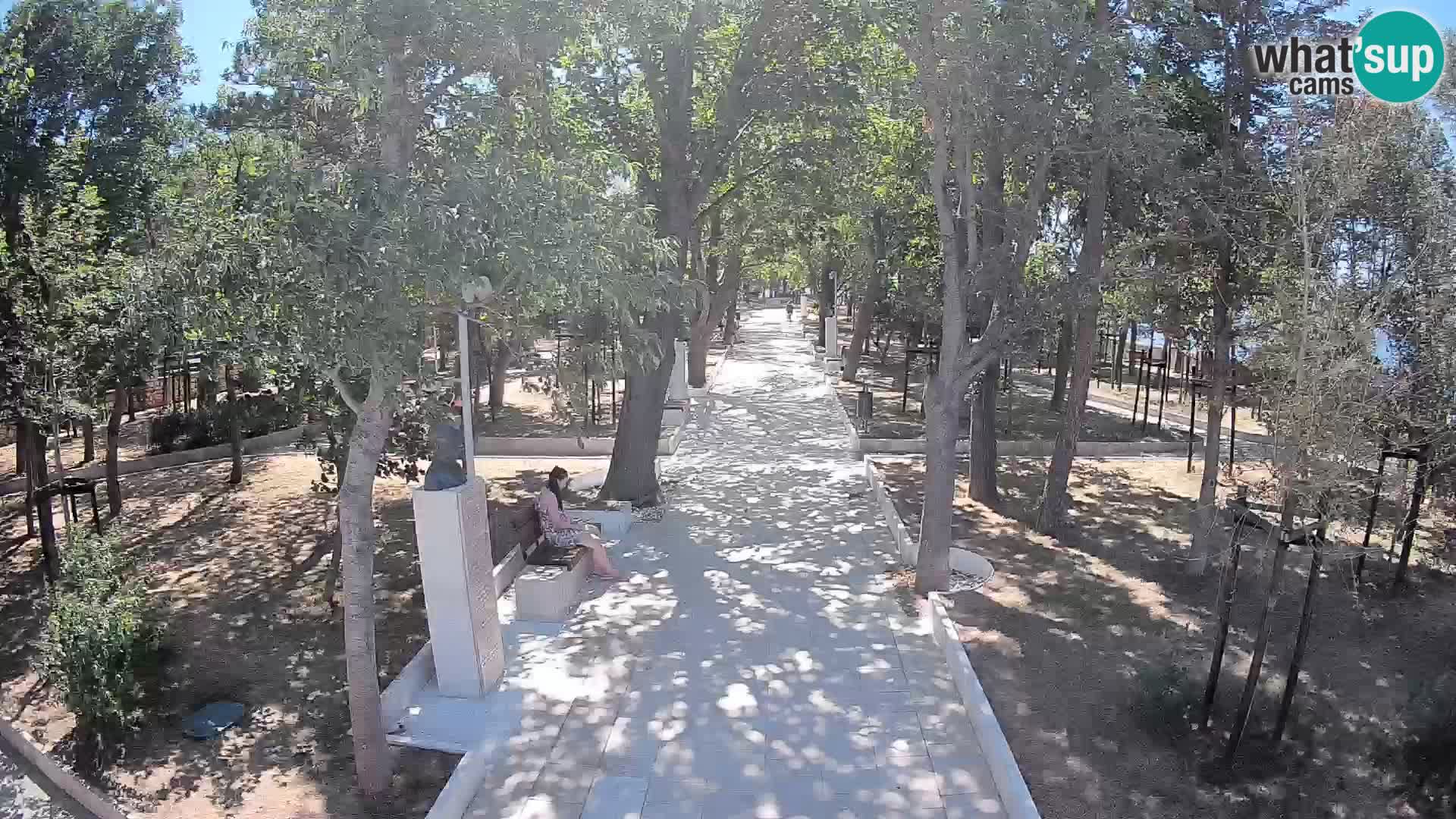 Writers’ Park Webcam Senj – Live by the Sea
