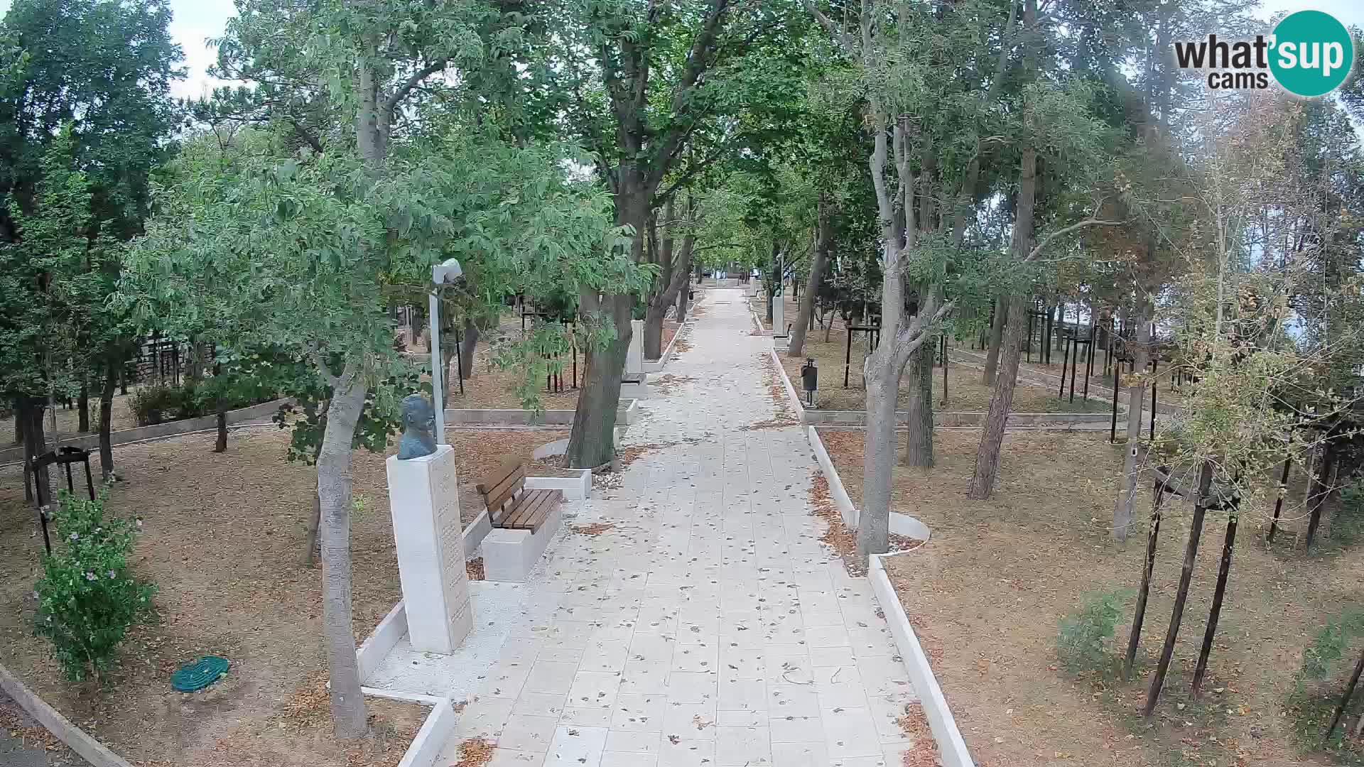 Webcam Parco degli Scrittori Segna – Diretta sul Mare