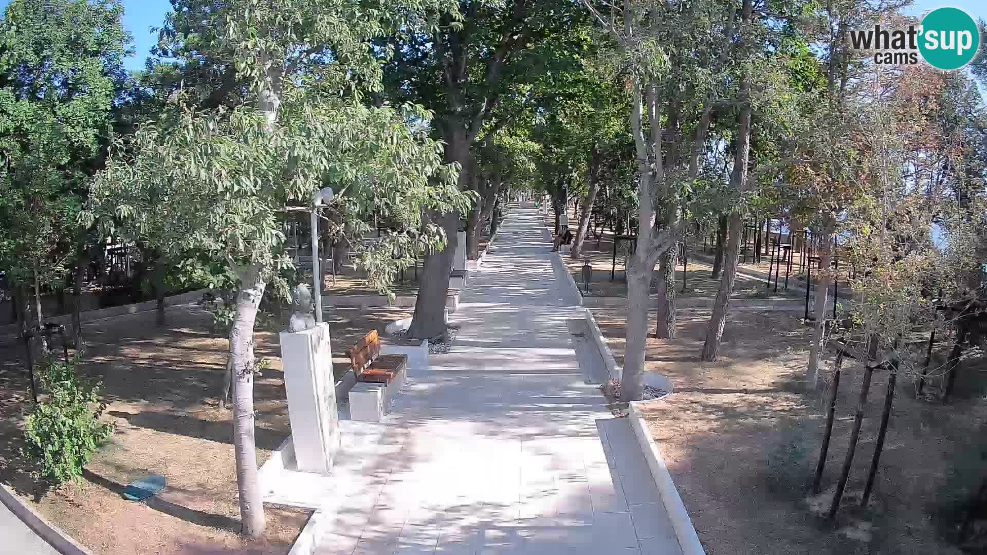 Webcam Parco degli Scrittori Segna – Diretta sul Mare
