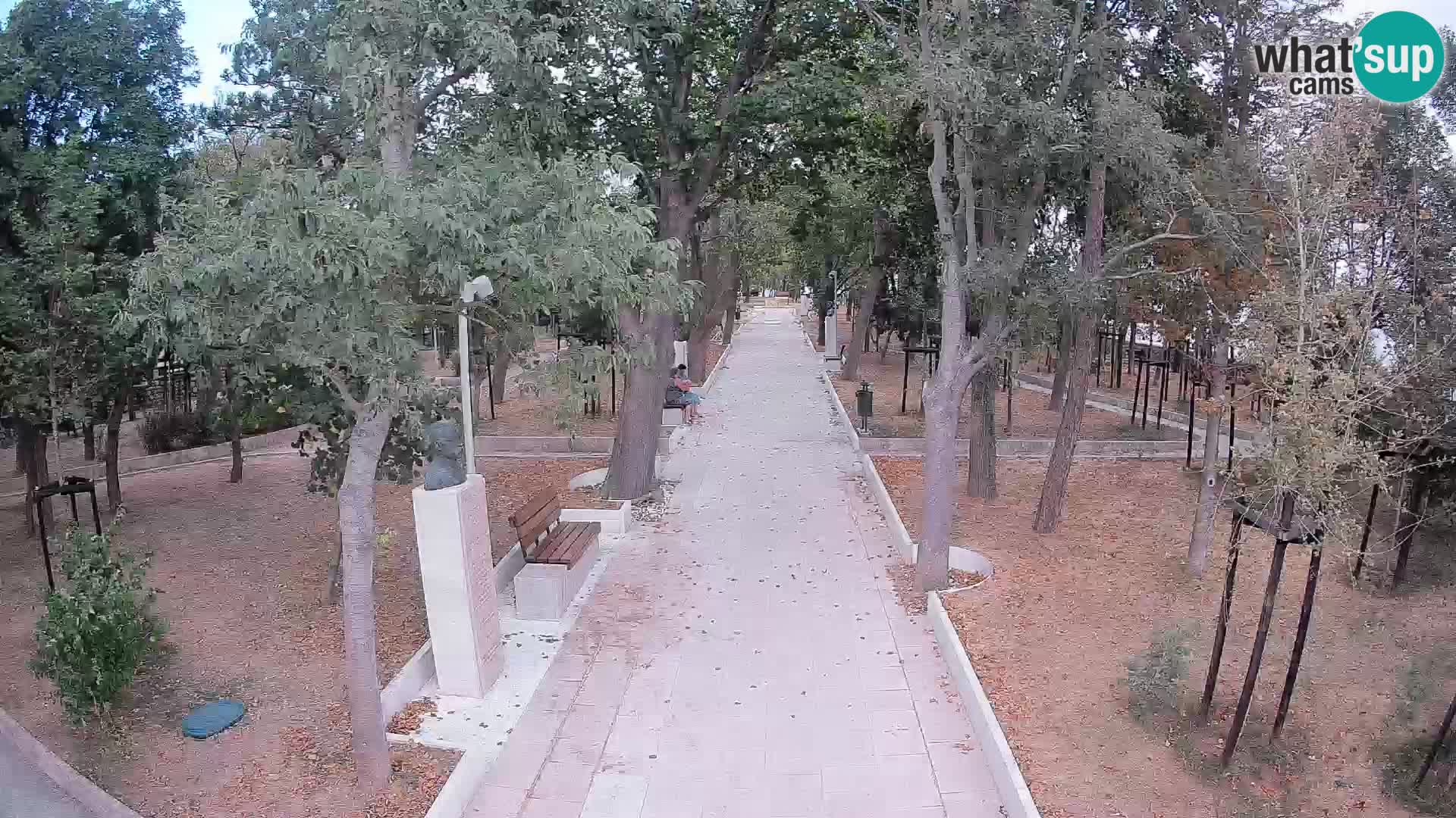 Webcam Parco degli Scrittori Segna – Diretta sul Mare