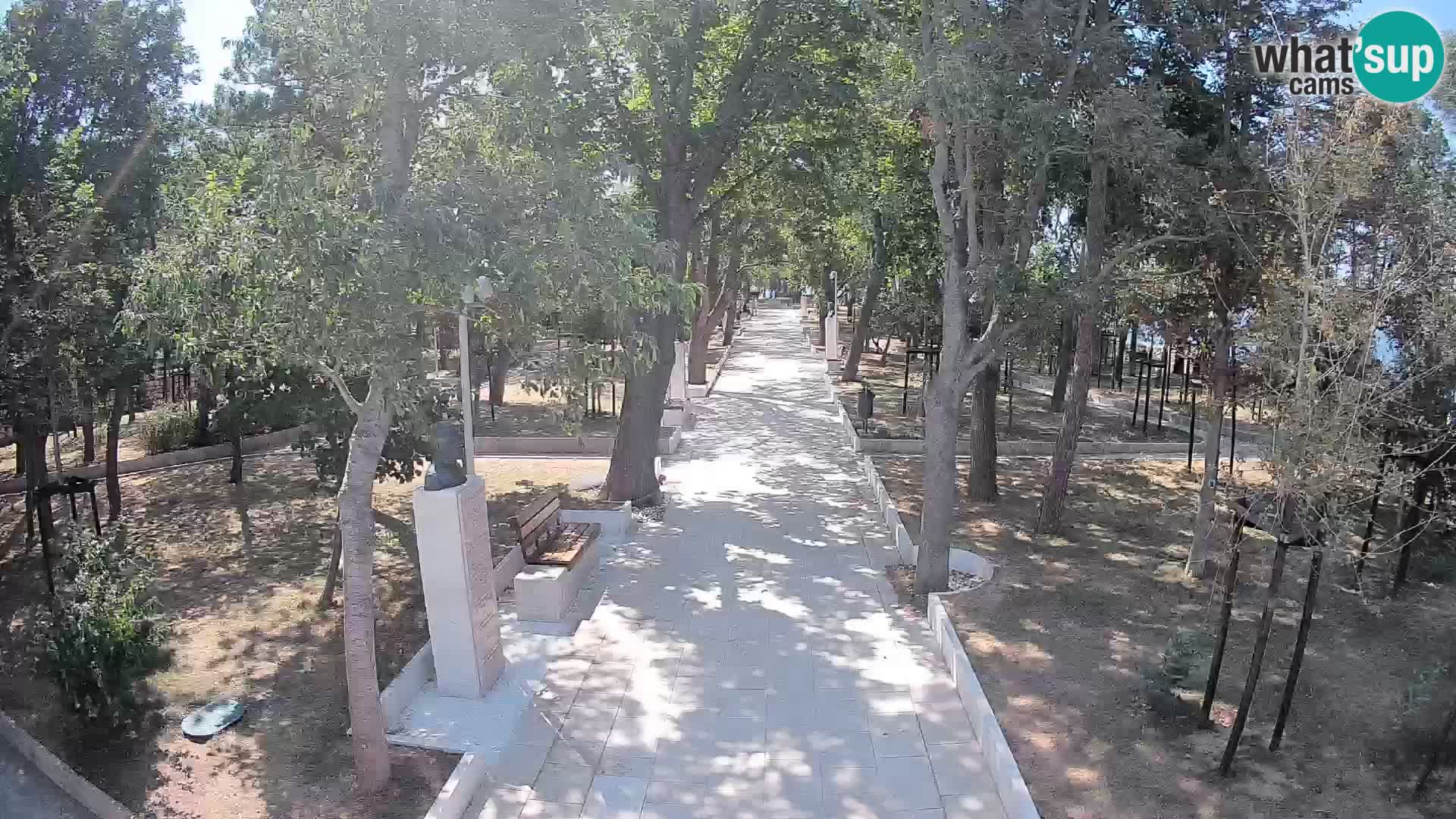 Webcam Parco degli Scrittori Segna – Diretta sul Mare