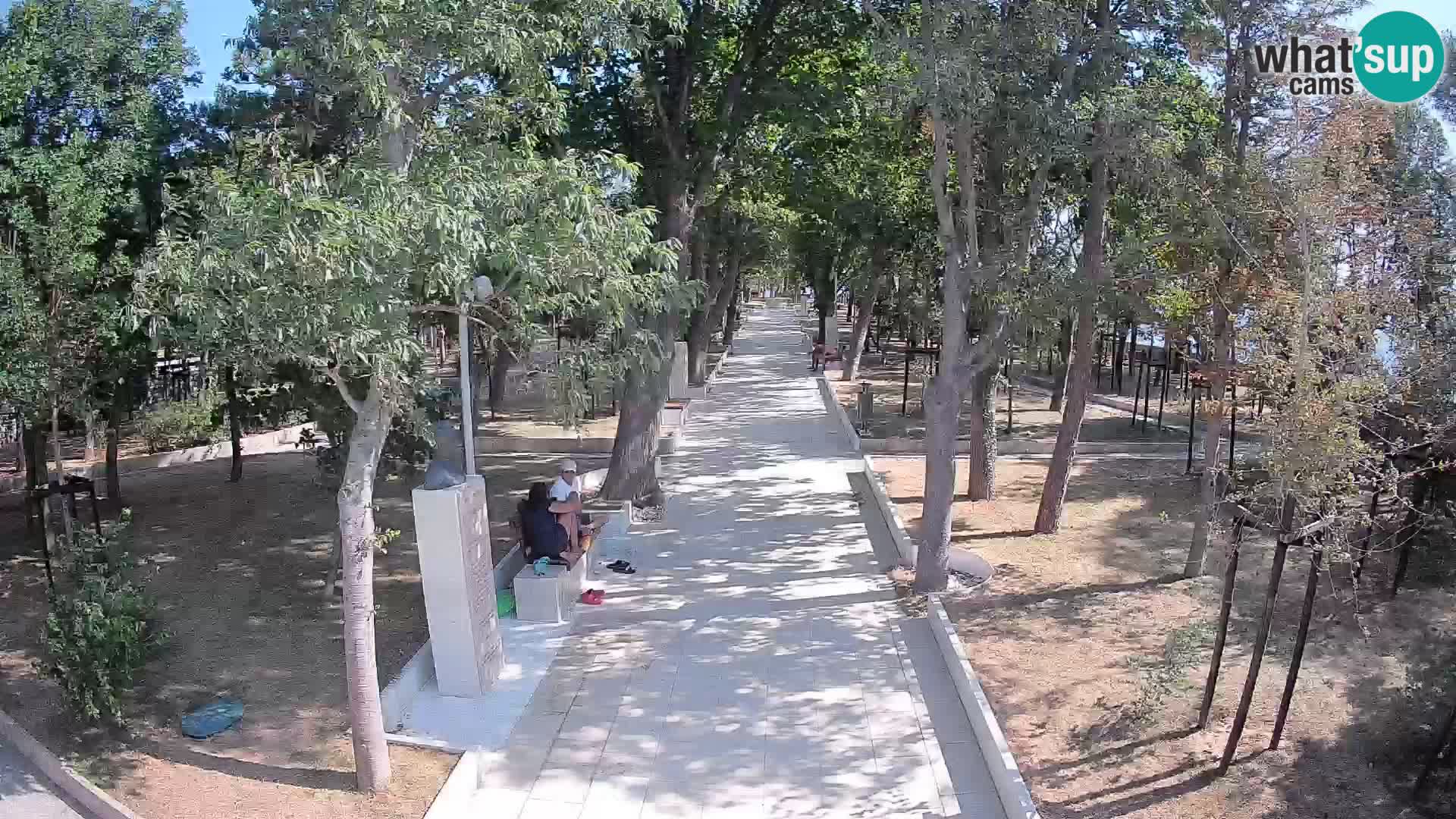 Webcam Schriftstellerpark Senj – Live am Meer