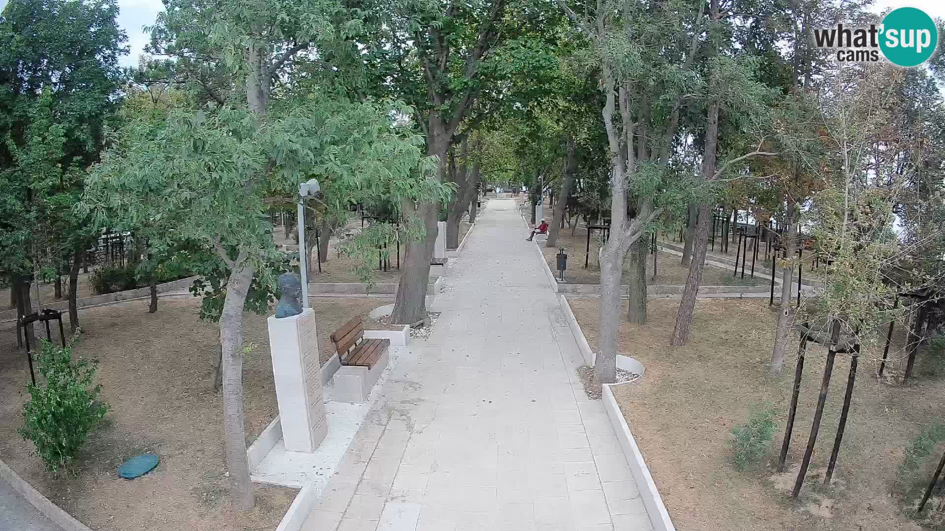 Webcam Parco degli Scrittori Segna – Diretta sul Mare