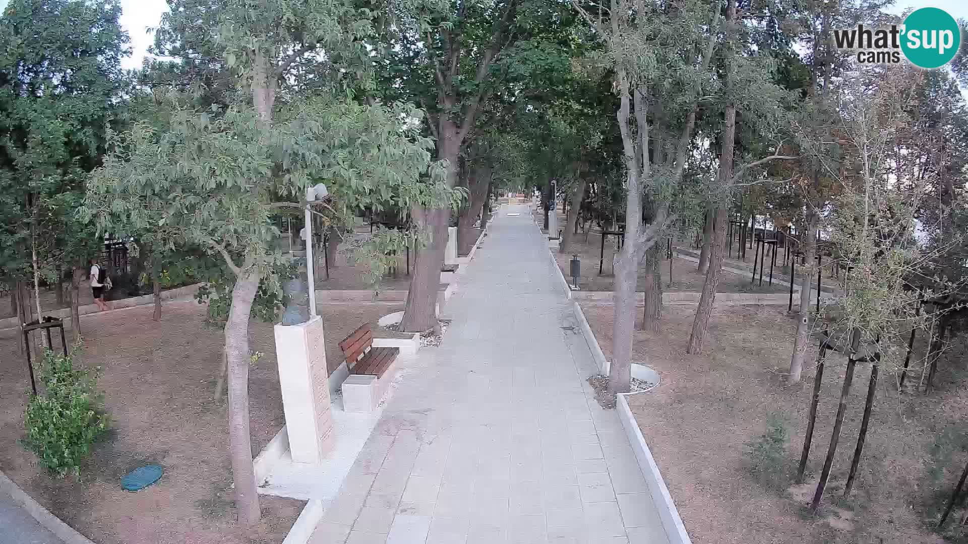 Webcam Parco degli Scrittori Segna – Diretta sul Mare