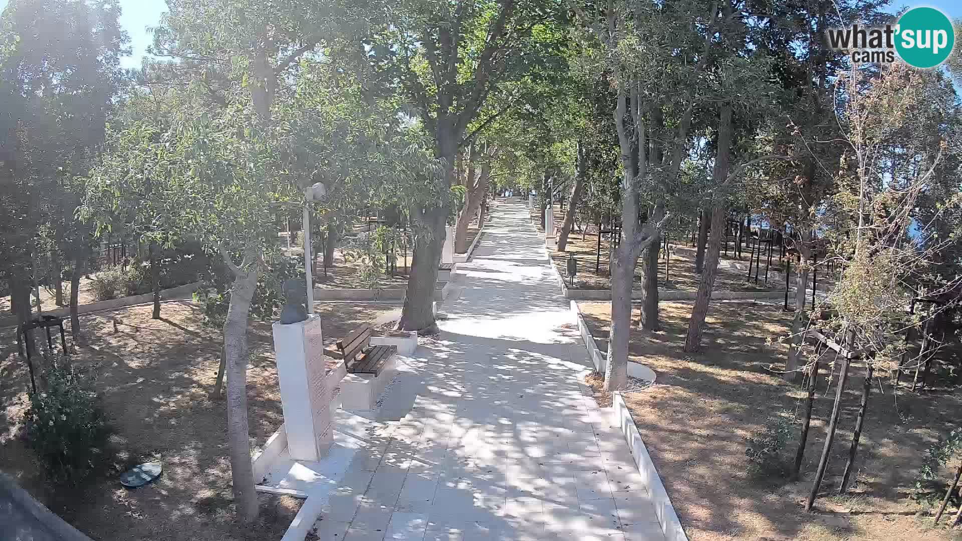 Webcam Schriftstellerpark Senj – Live am Meer