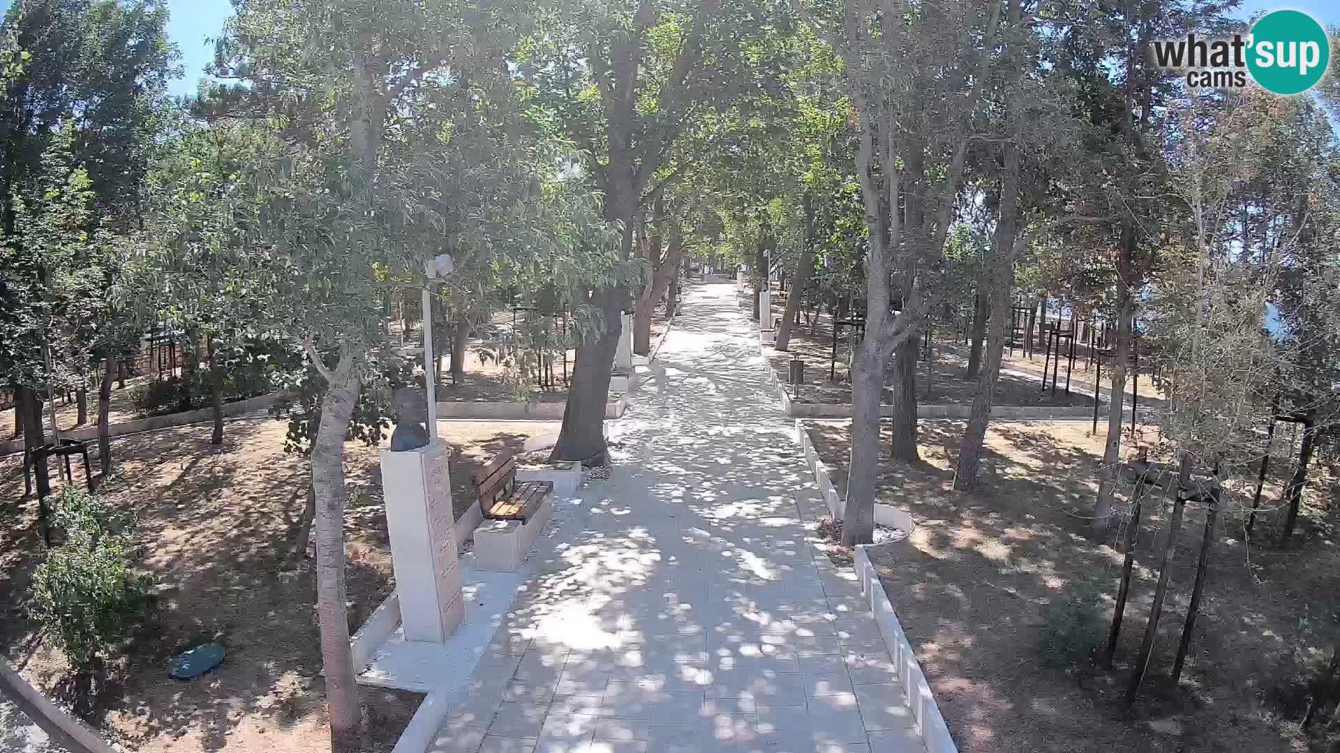 Webcam Parco degli Scrittori Segna – Diretta sul Mare