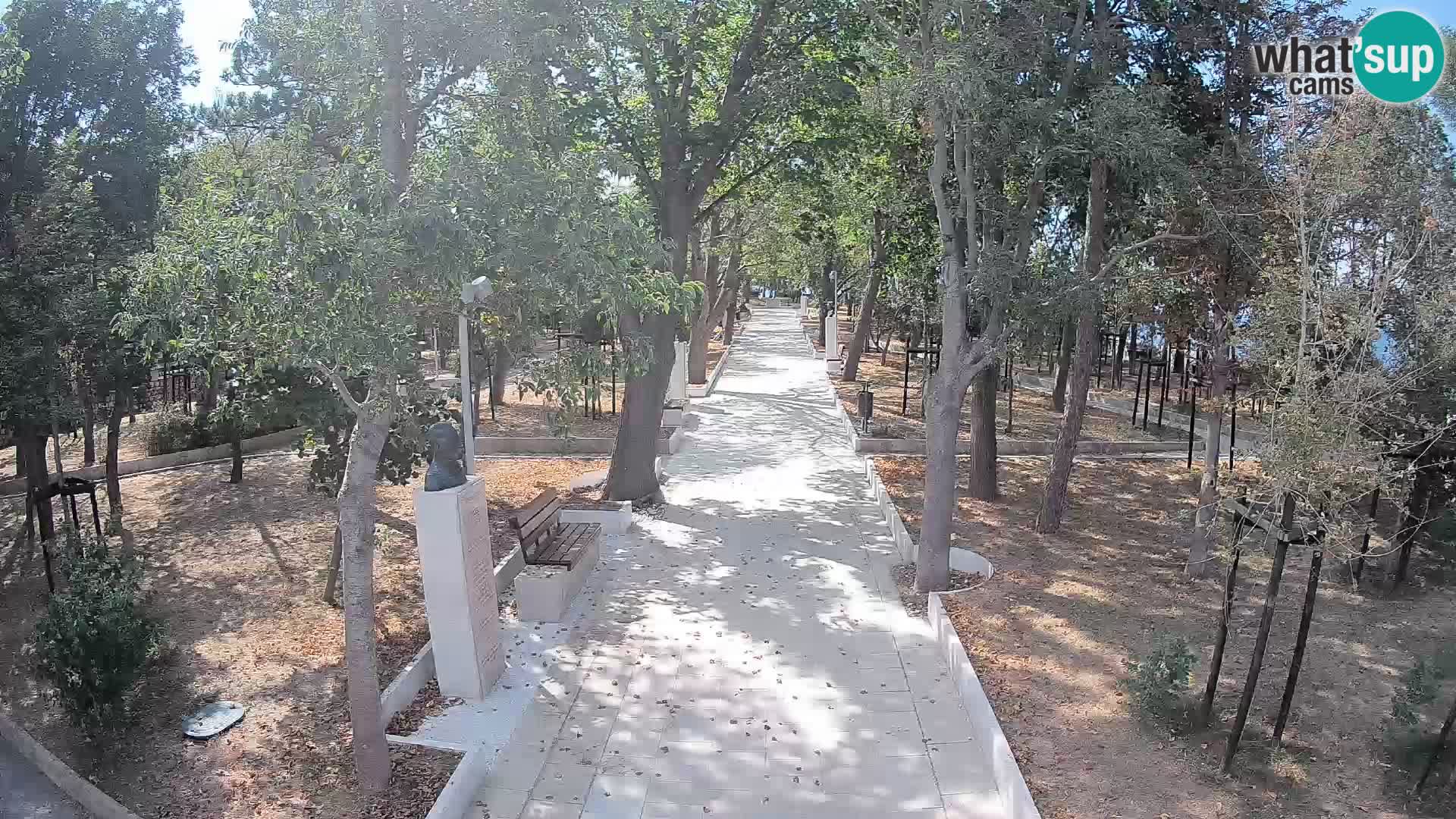 Webcam Parco degli Scrittori Segna – Diretta sul Mare
