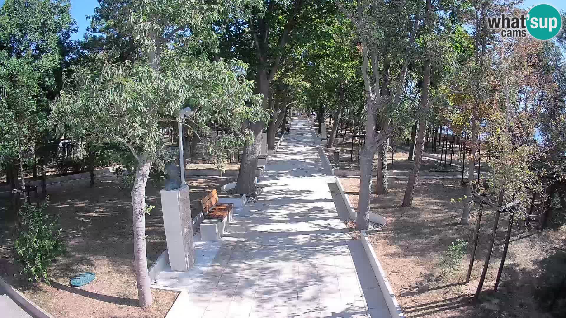 Webcam Parco degli Scrittori Segna – Diretta sul Mare