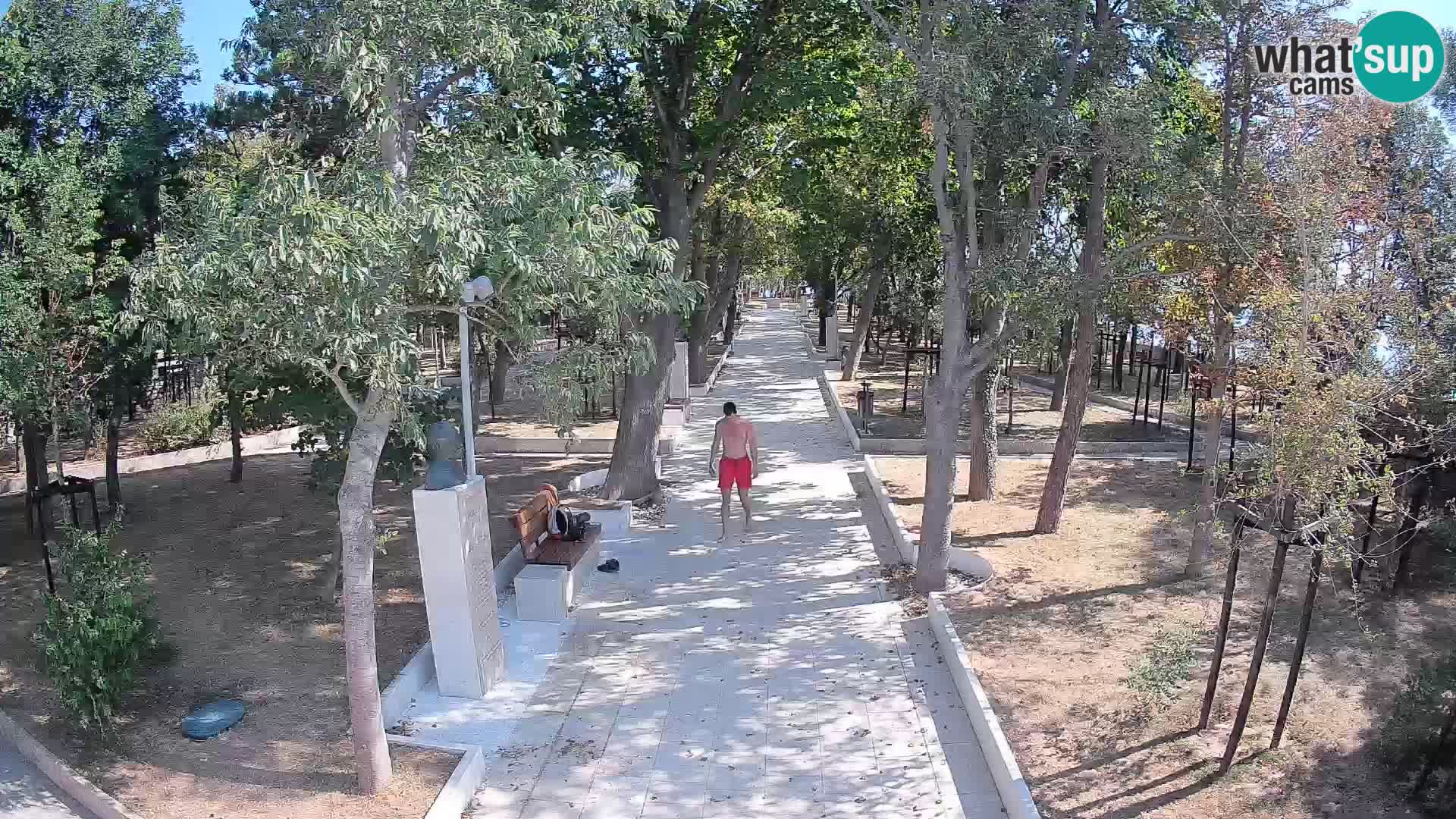 Webcam Parco degli Scrittori Segna – Diretta sul Mare