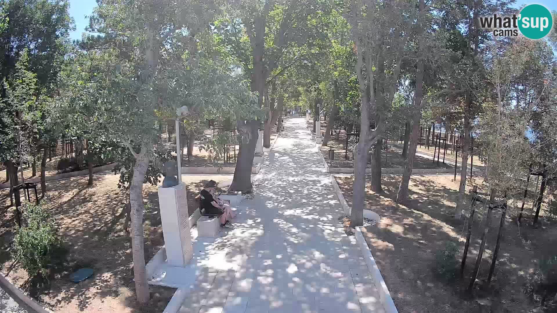Webcam Parco degli Scrittori Segna – Diretta sul Mare