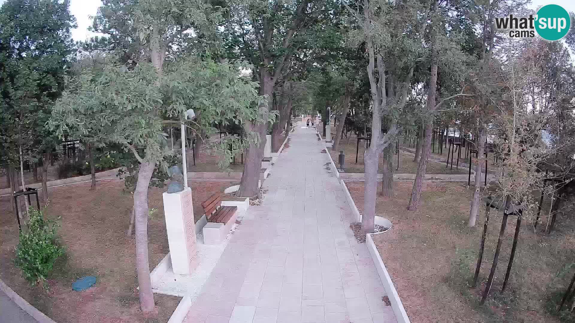 Webcam Schriftstellerpark Senj – Live am Meer