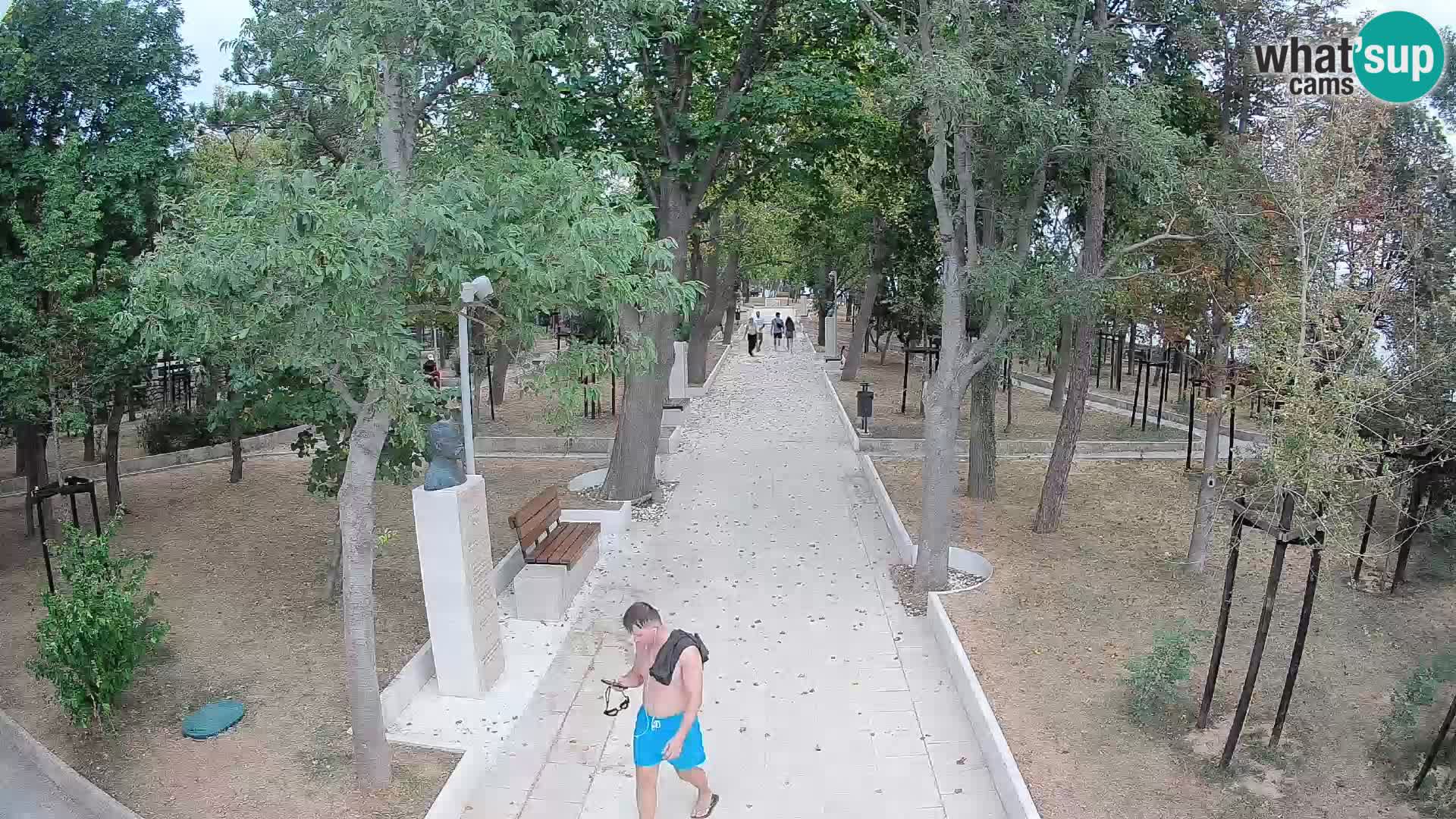 Webcam Parco degli Scrittori Segna – Diretta sul Mare