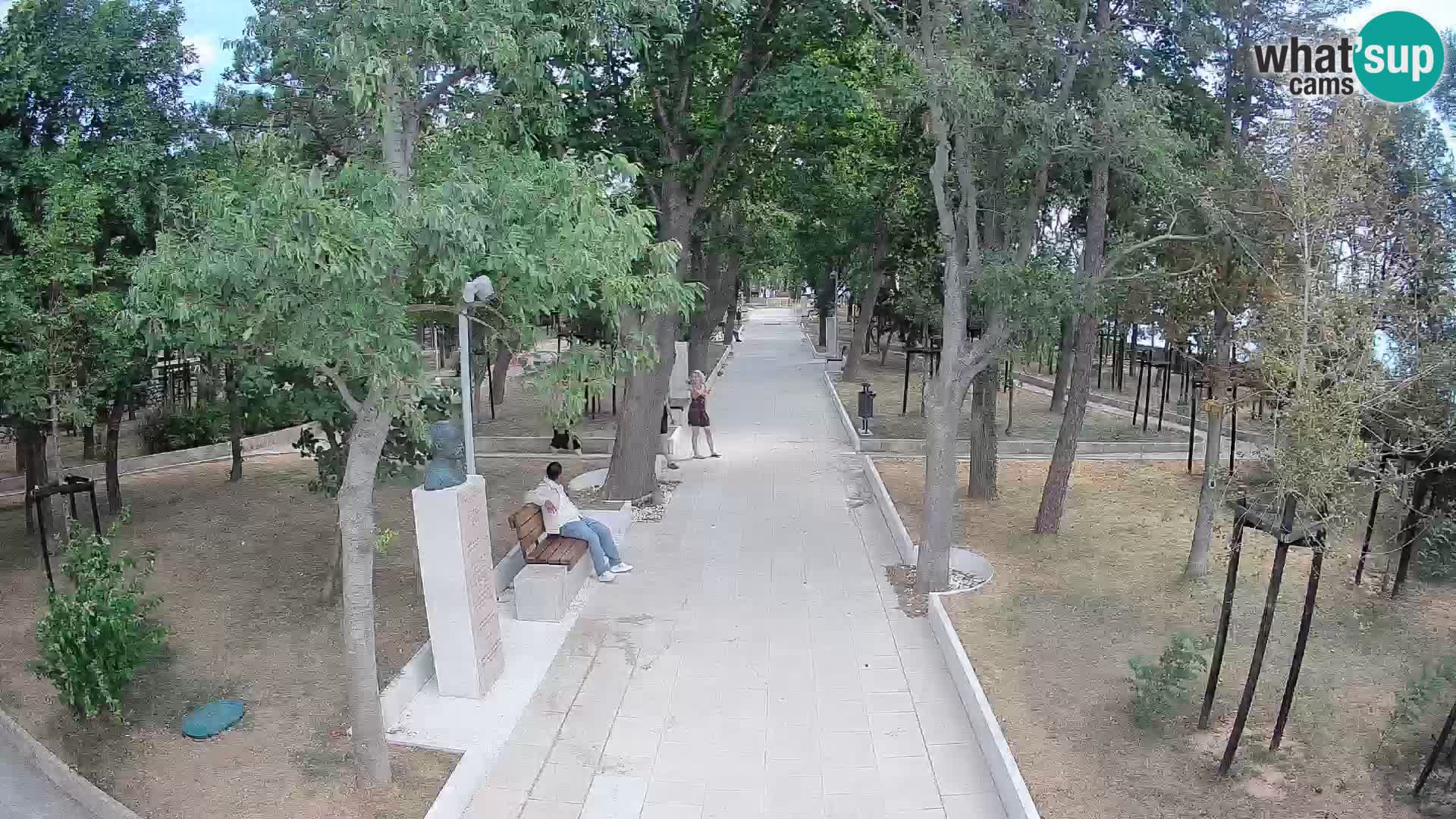 Webcam Parco degli Scrittori Segna – Diretta sul Mare