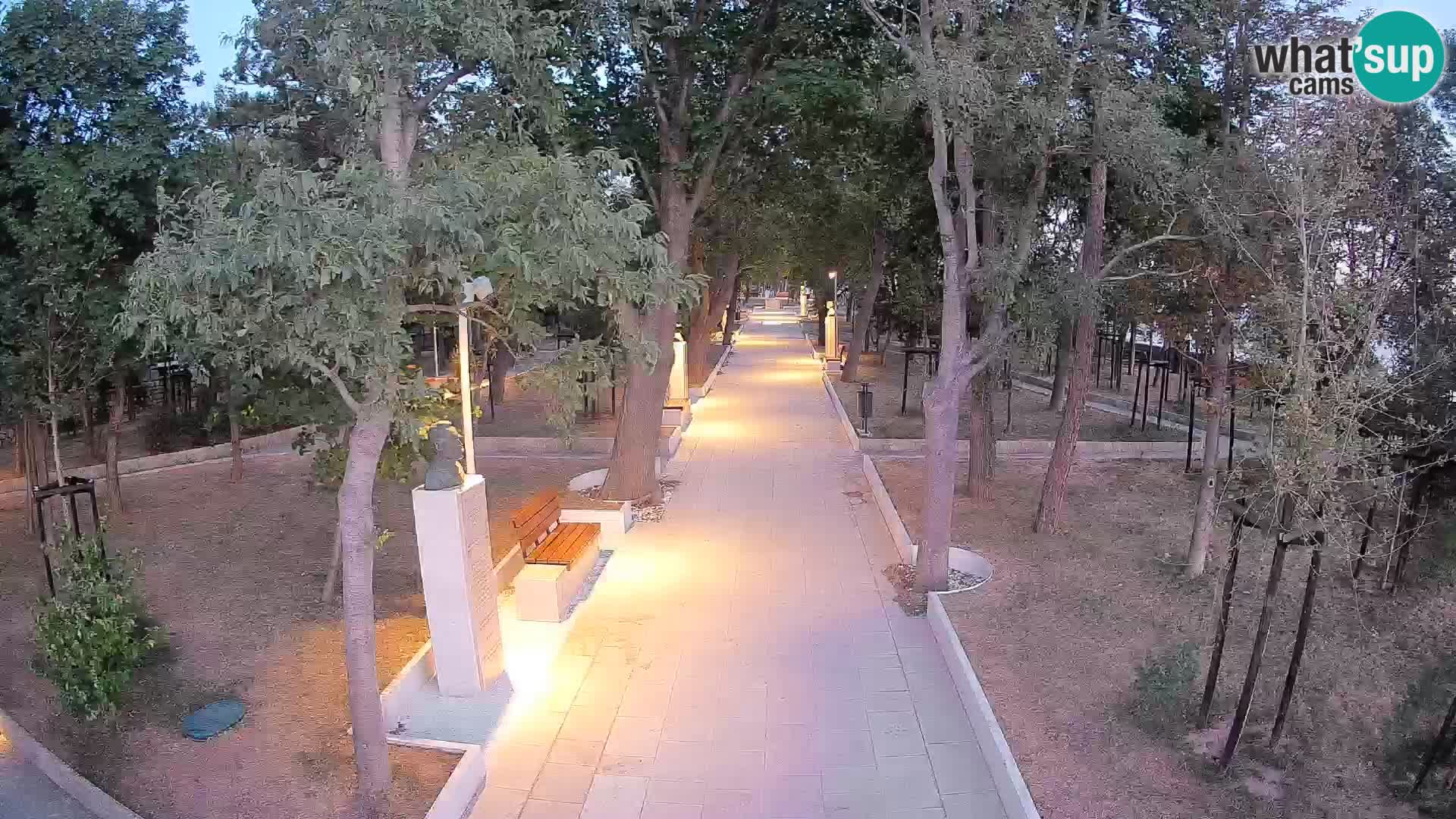 Webcam Parco degli Scrittori Segna – Diretta sul Mare
