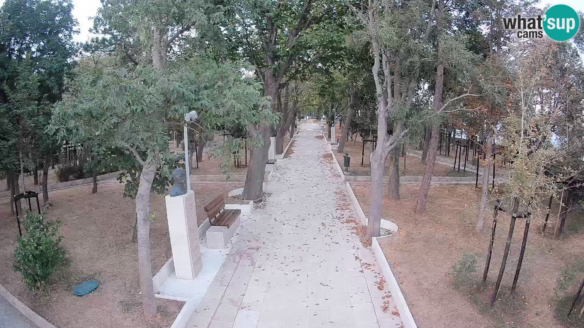 Webcam Parco degli Scrittori Segna – Diretta sul Mare