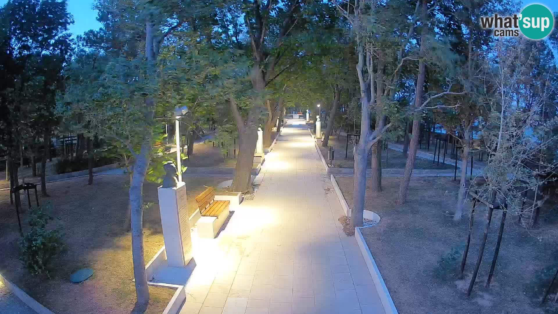 Webcam Parco degli Scrittori Segna – Diretta sul Mare