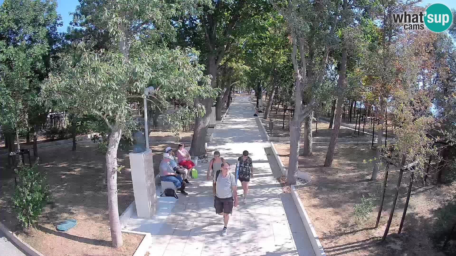 Webcam Parco degli Scrittori Segna – Diretta sul Mare