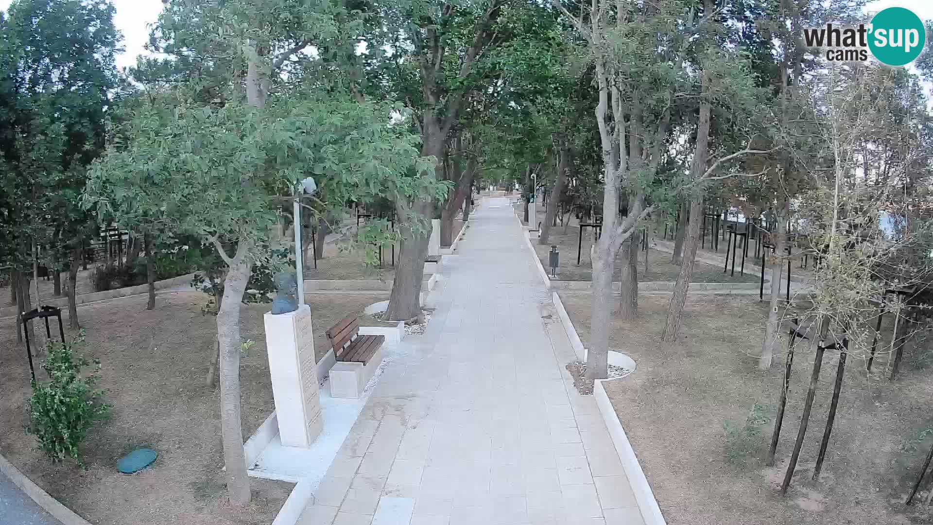 Webcam Schriftstellerpark Senj – Live am Meer