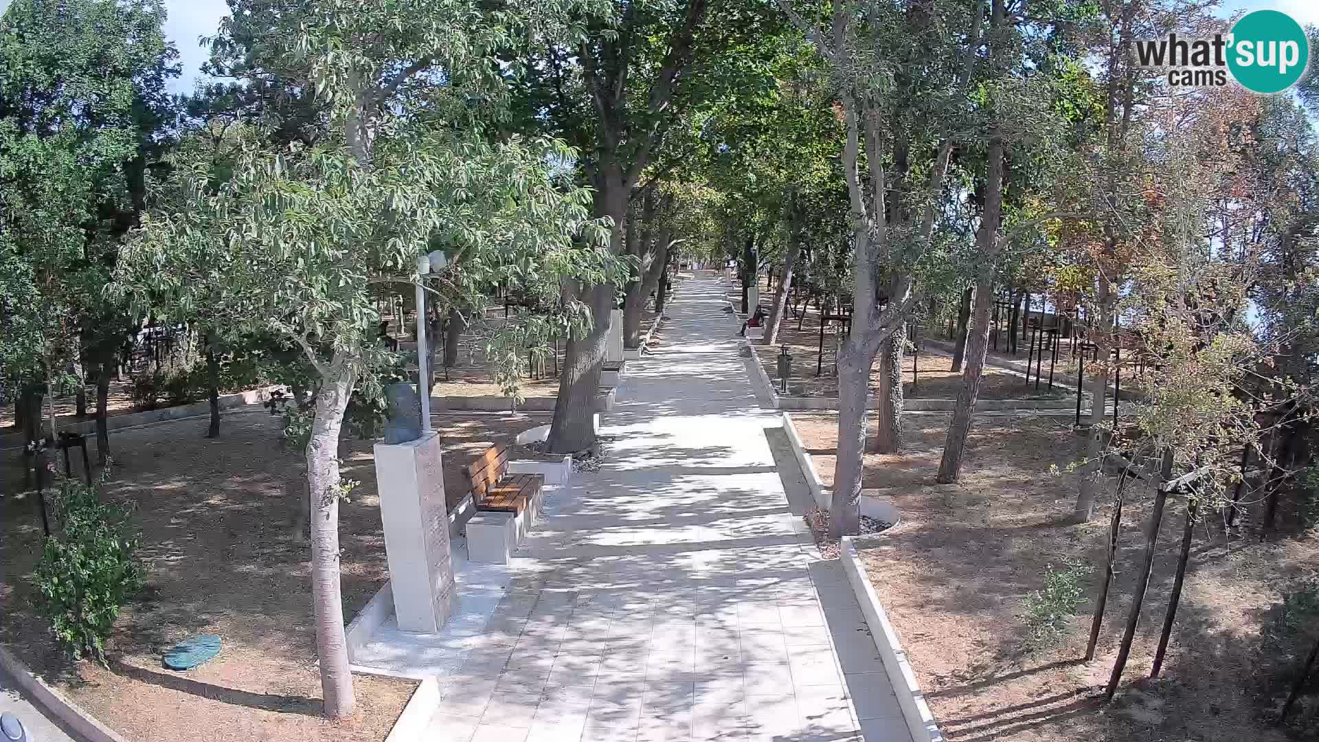 Webcam Parco degli Scrittori Segna – Diretta sul Mare