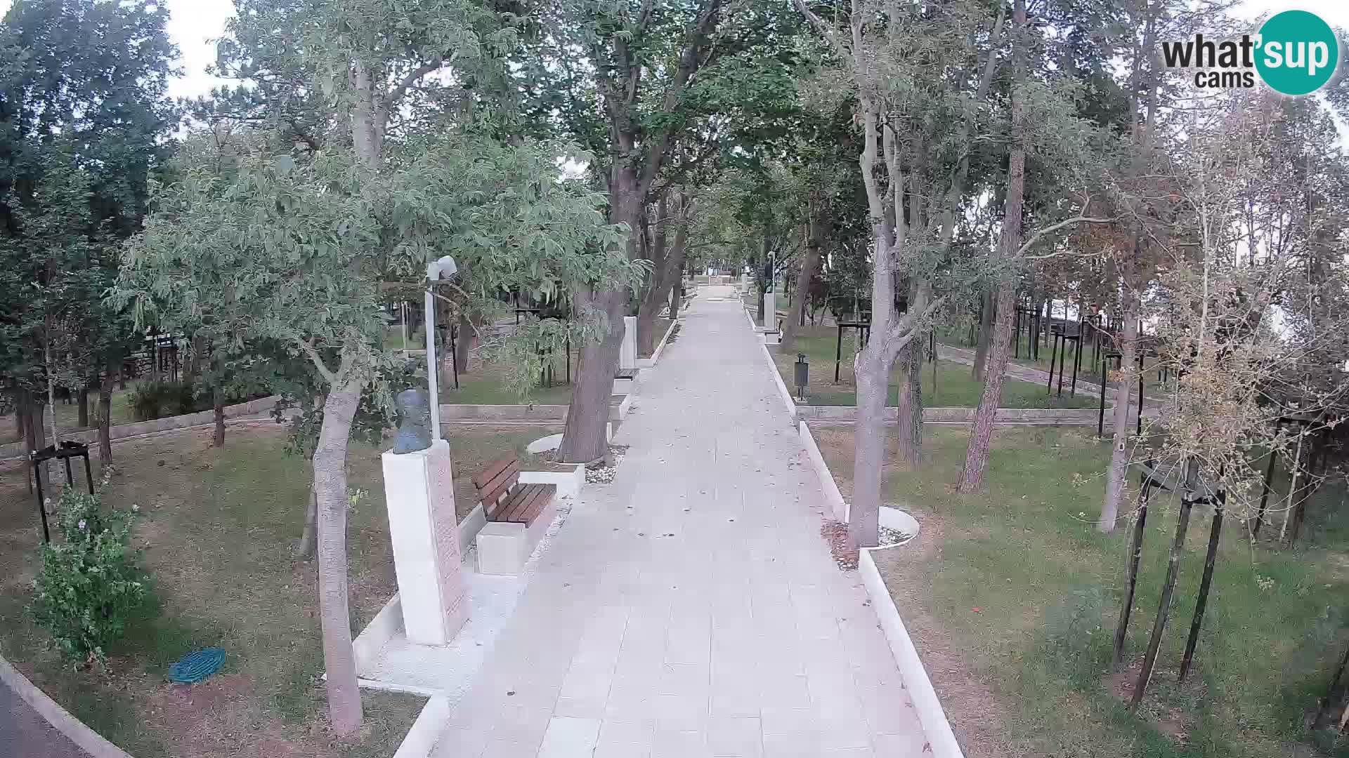 Webcam Schriftstellerpark Senj – Live am Meer