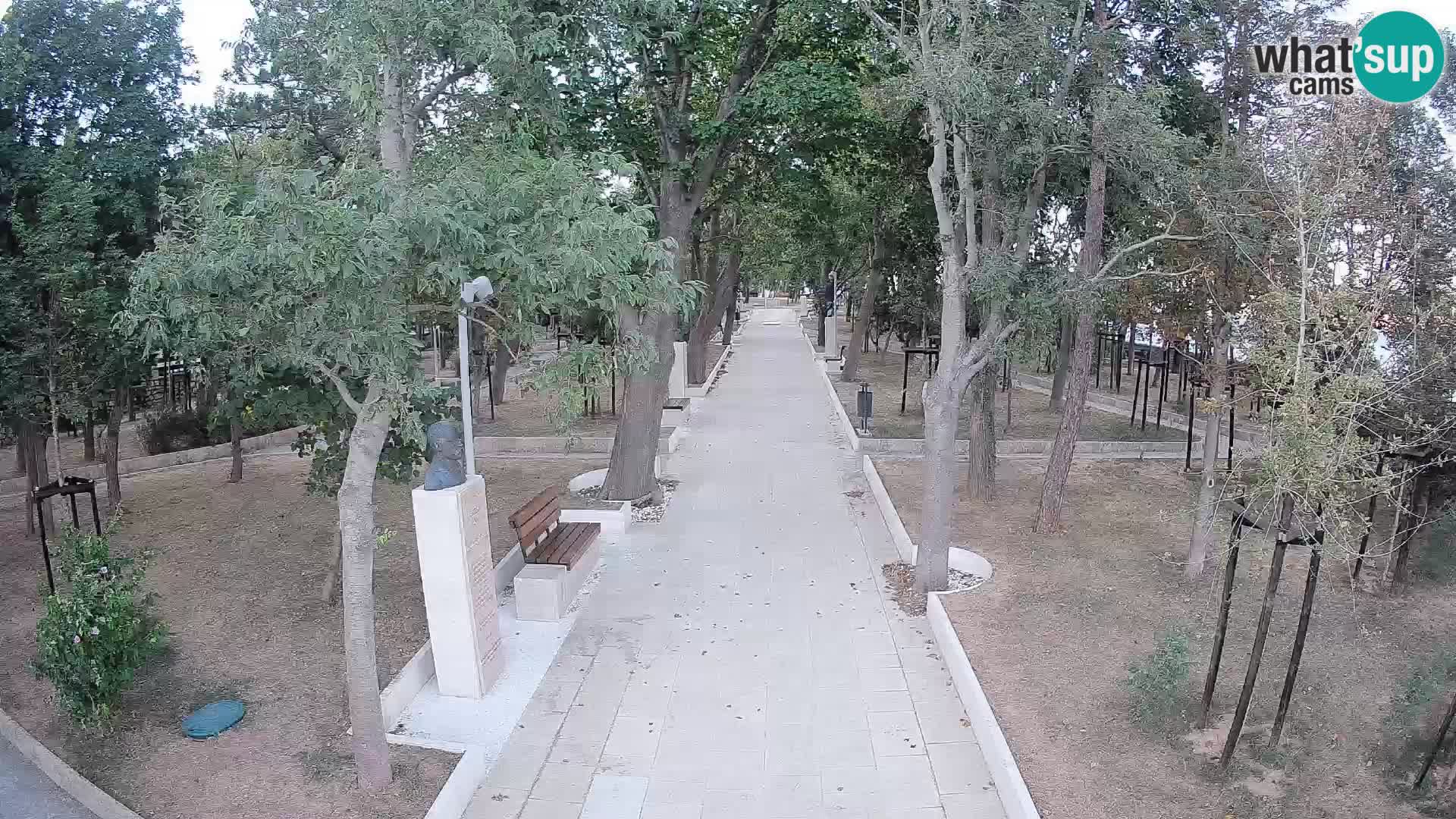 Webcam Parco degli Scrittori Segna – Diretta sul Mare