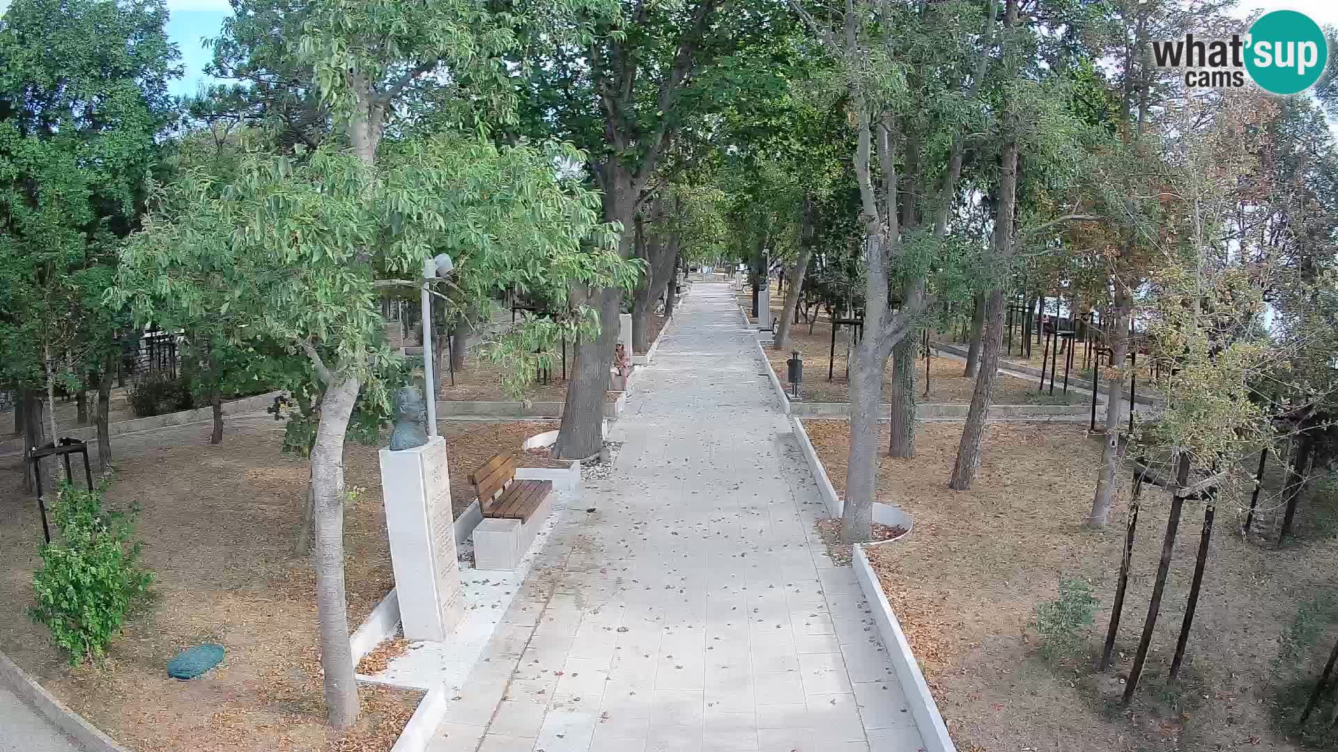 Webcam Parco degli Scrittori Segna – Diretta sul Mare