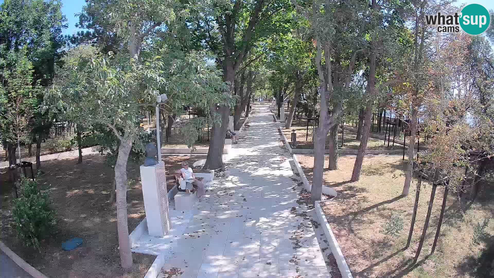 Webcam Parco degli Scrittori Segna – Diretta sul Mare