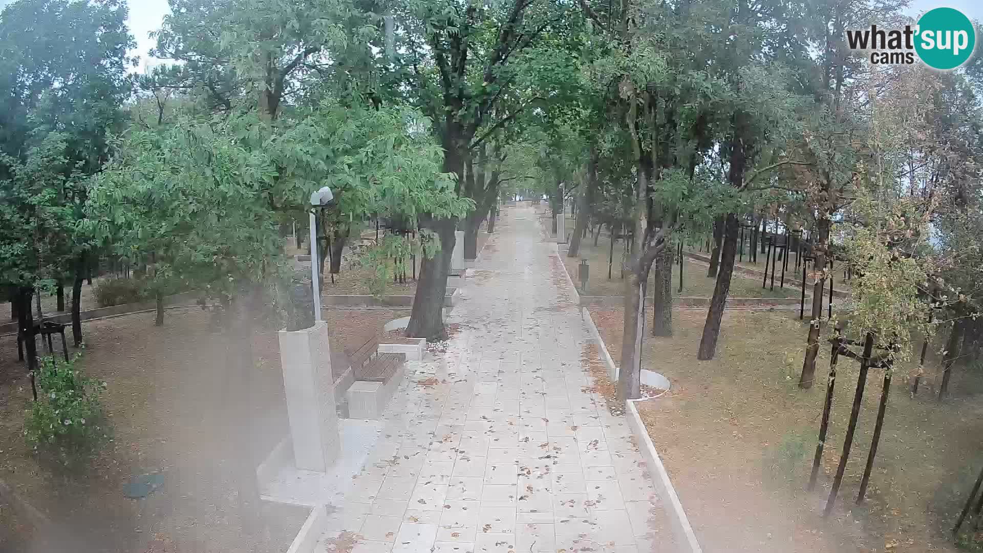 Webcam Schriftstellerpark Senj – Live am Meer