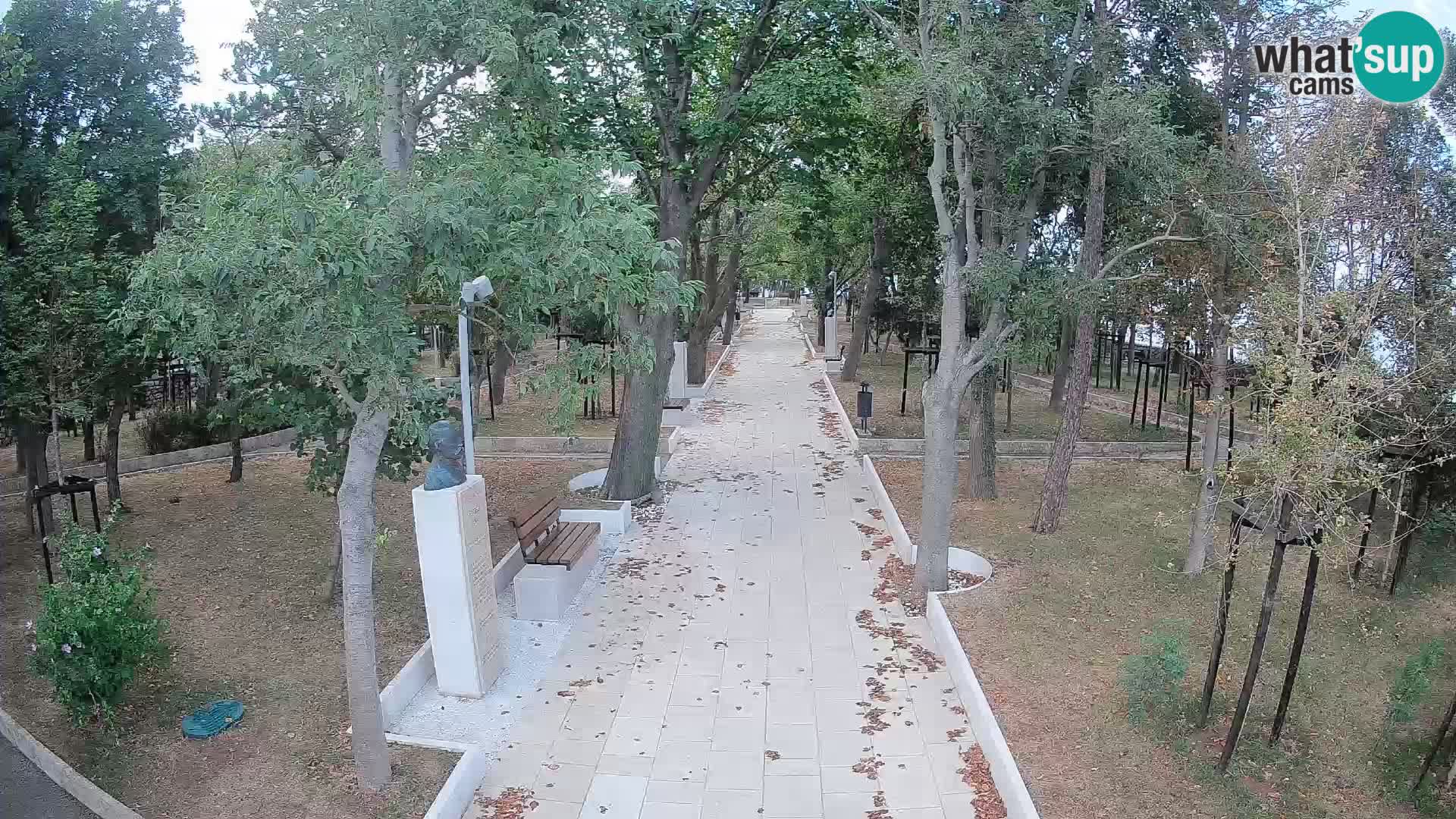 Webcam Parco degli Scrittori Segna – Diretta sul Mare