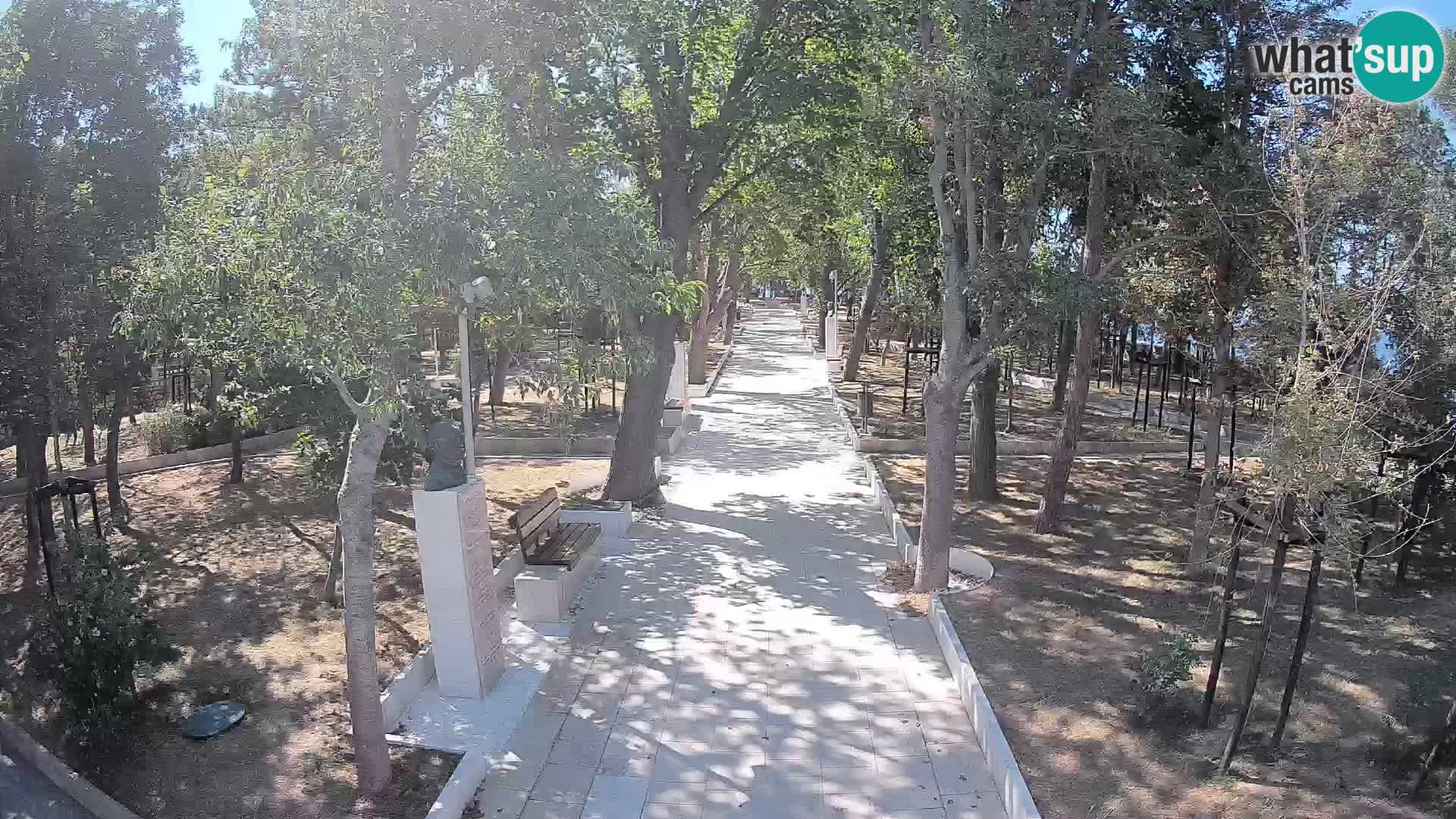 Webcam Parco degli Scrittori Segna – Diretta sul Mare