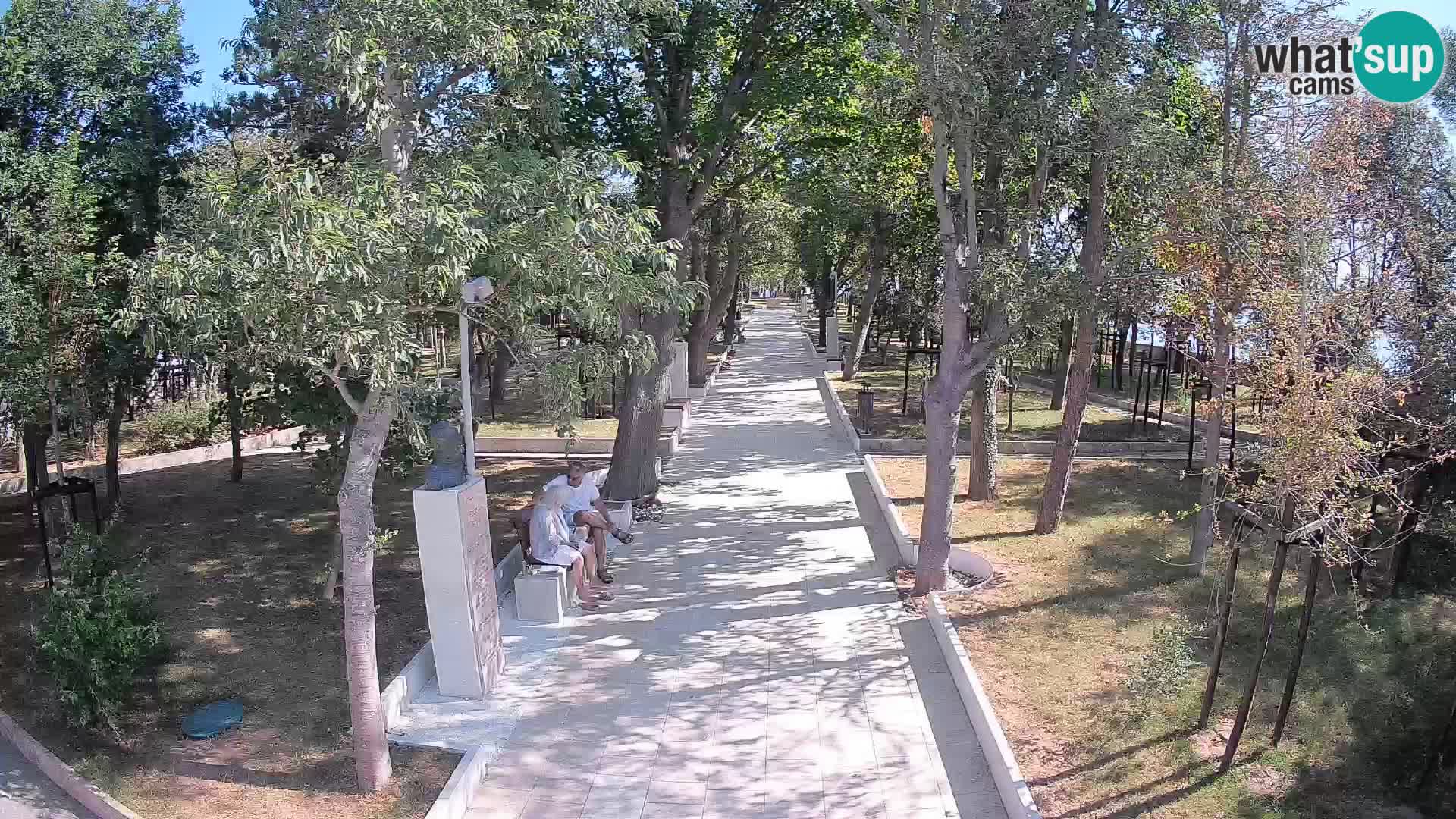 Webcam Parco degli Scrittori Segna – Diretta sul Mare