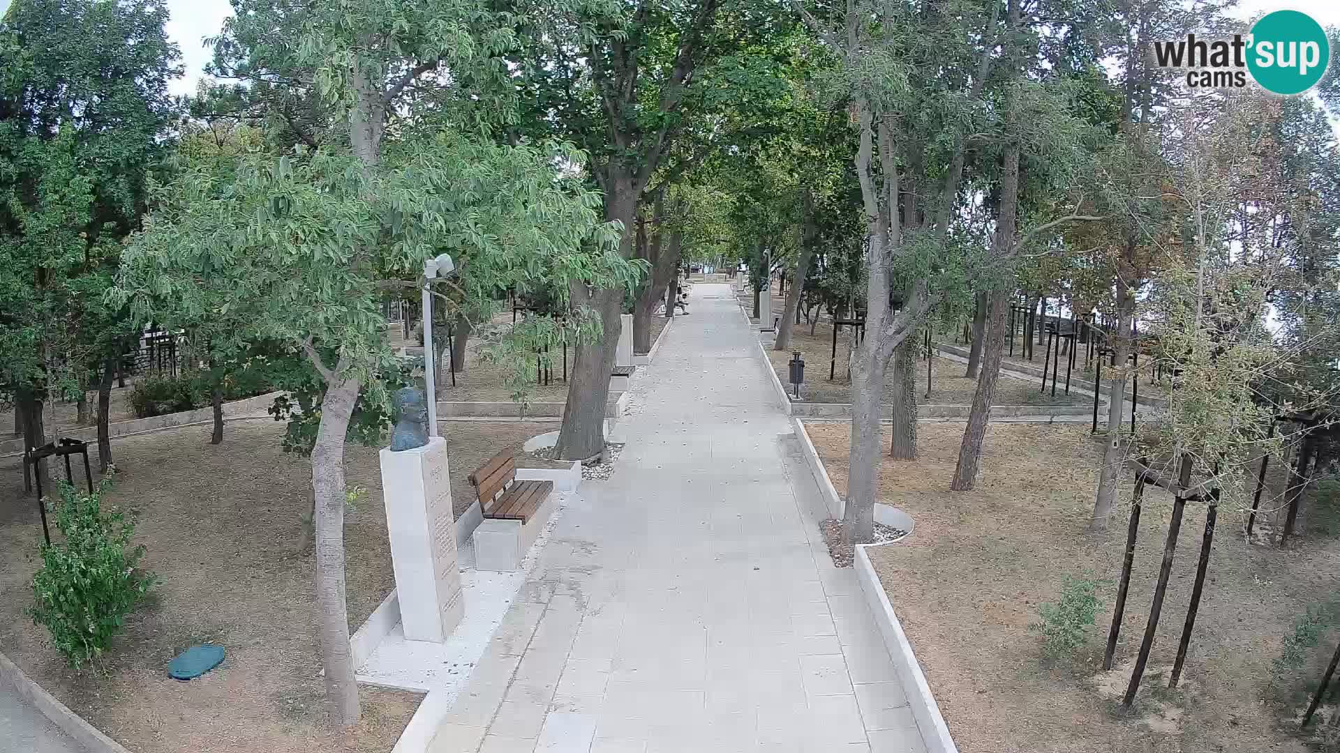 Webcam Parco degli Scrittori Segna – Diretta sul Mare