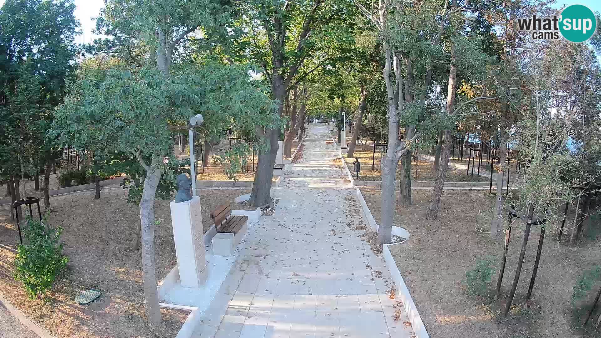 Webcam Parco degli Scrittori Segna – Diretta sul Mare
