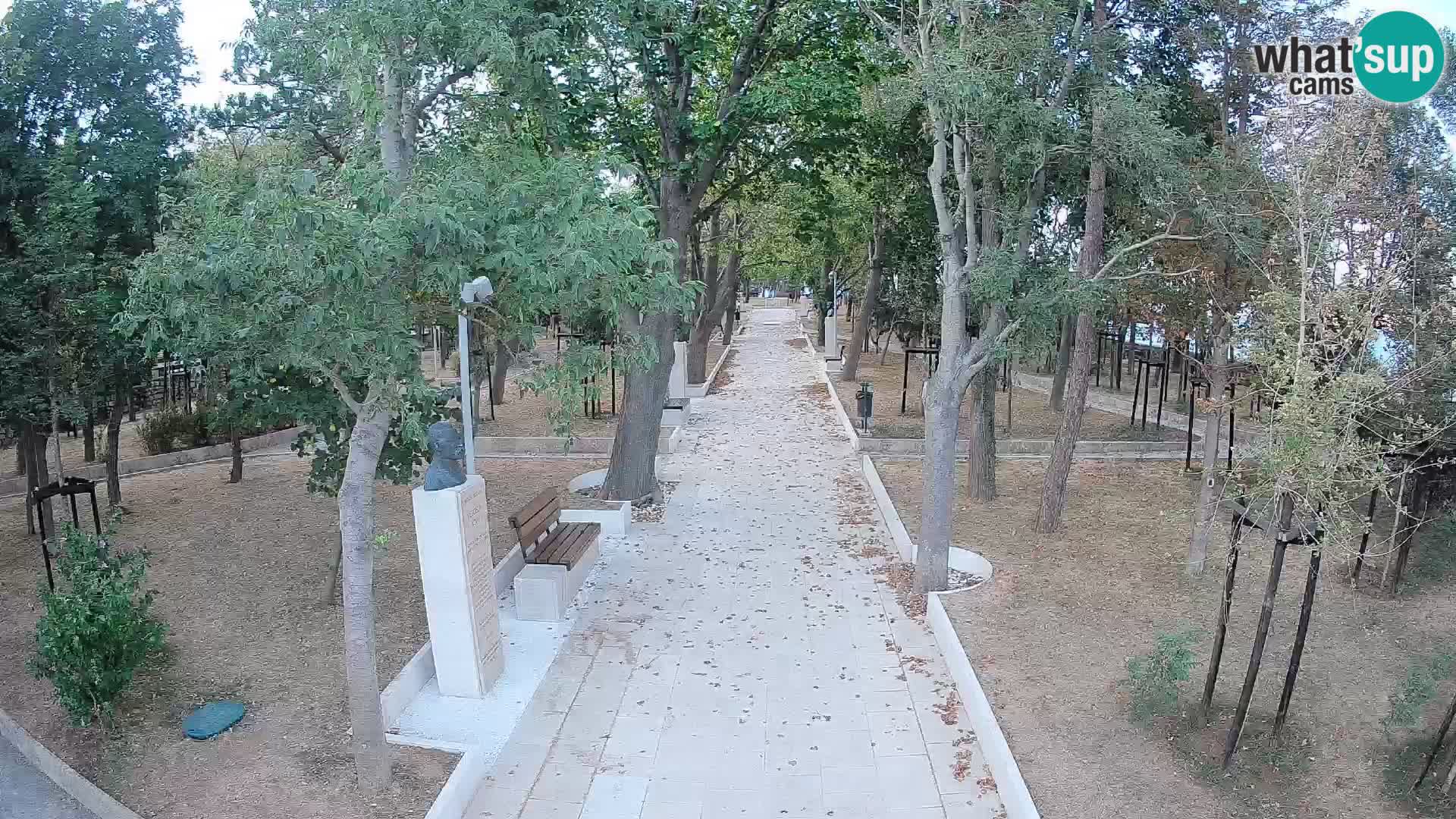 Webcam Parco degli Scrittori Segna – Diretta sul Mare
