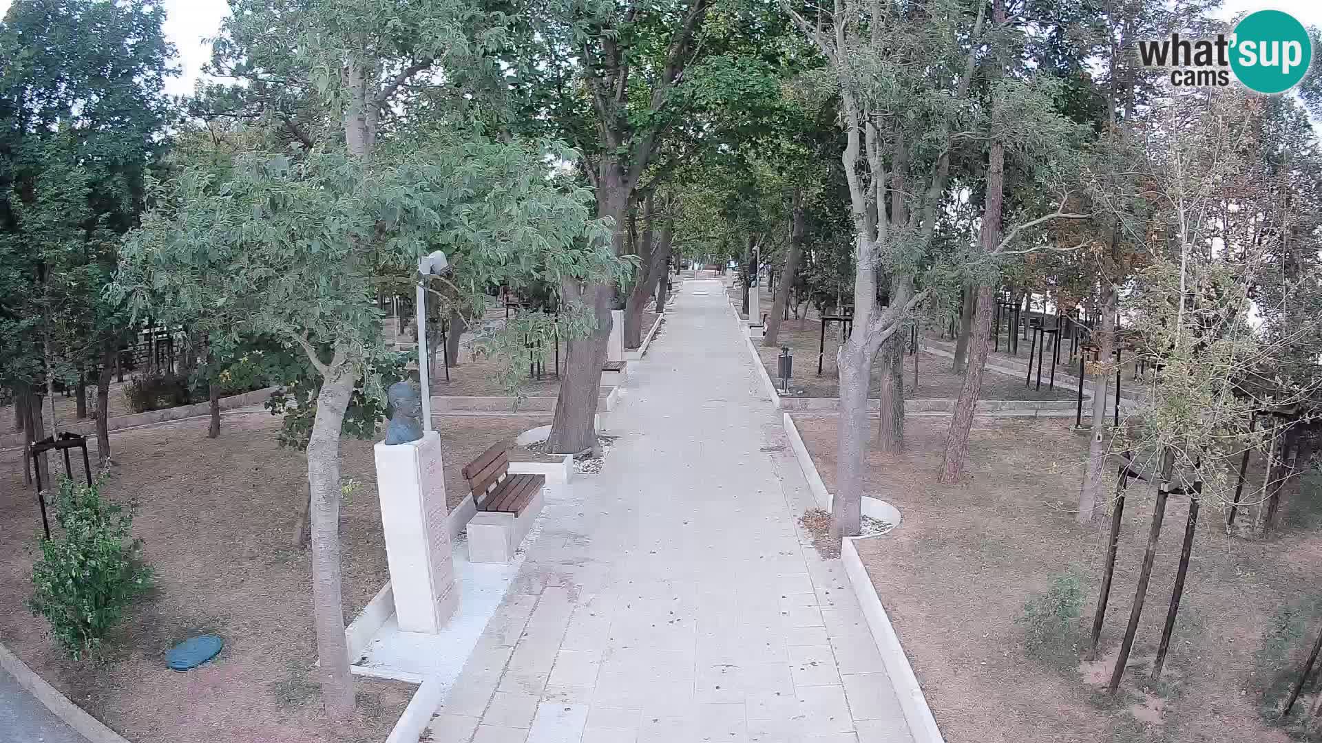 Webcam Parco degli Scrittori Segna – Diretta sul Mare