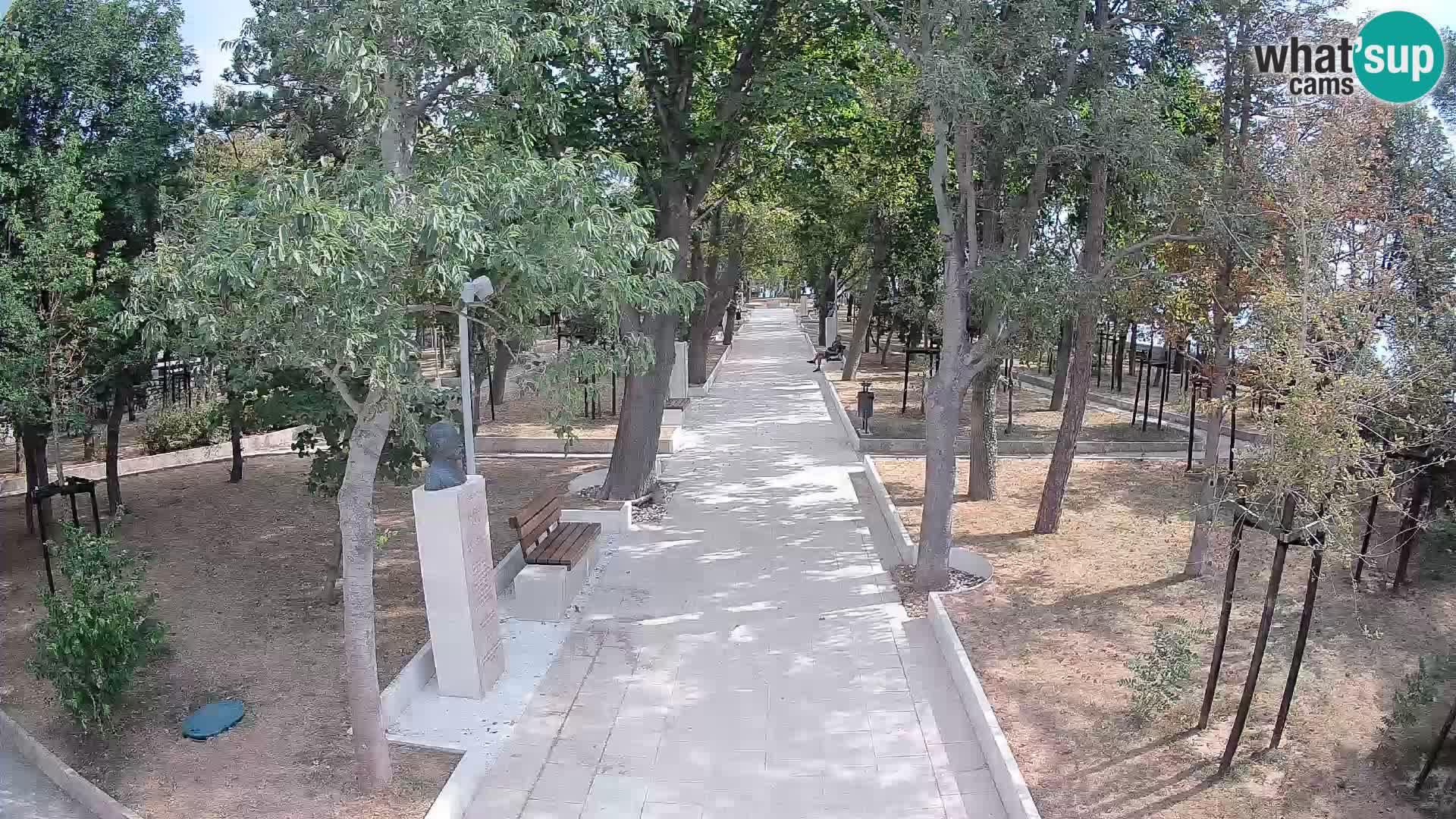 Webcam Parco degli Scrittori Segna – Diretta sul Mare