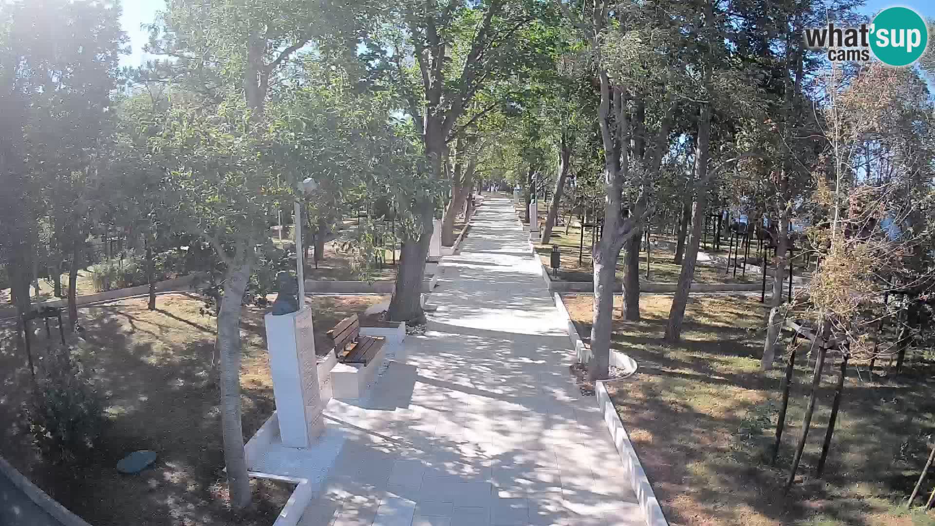 Webcam Parco degli Scrittori Segna – Diretta sul Mare
