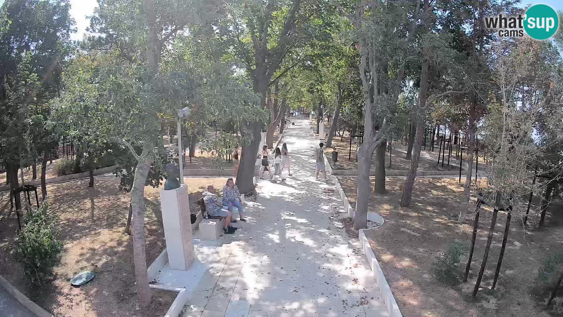 Webcam Parco degli Scrittori Segna – Diretta sul Mare