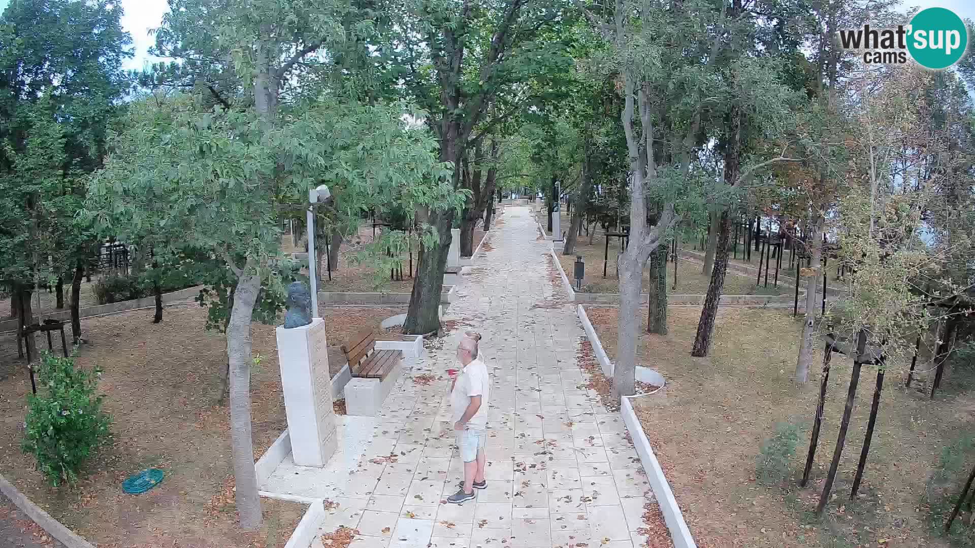 Webcam Schriftstellerpark Senj – Live am Meer