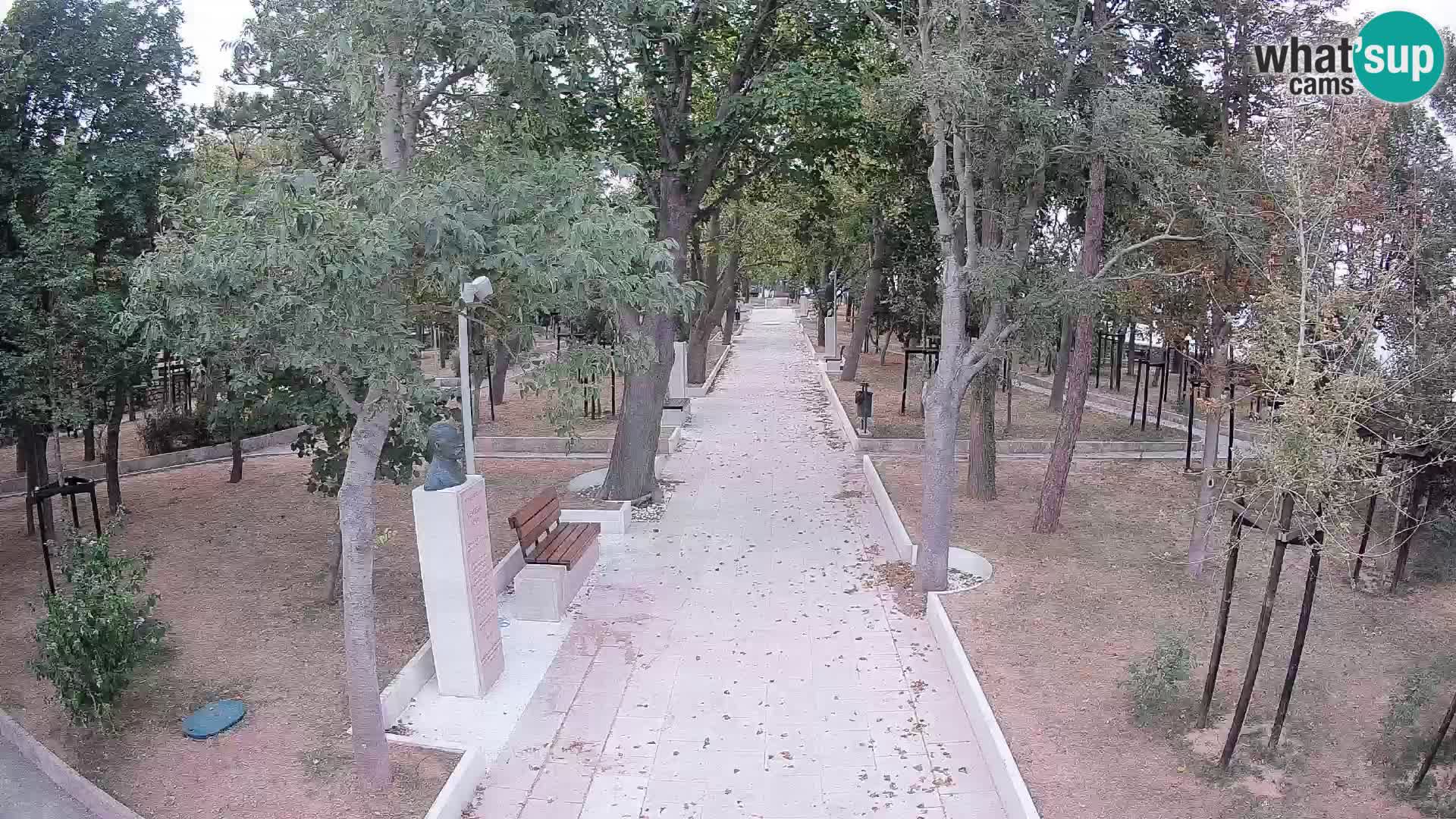 Webcam Schriftstellerpark Senj – Live am Meer